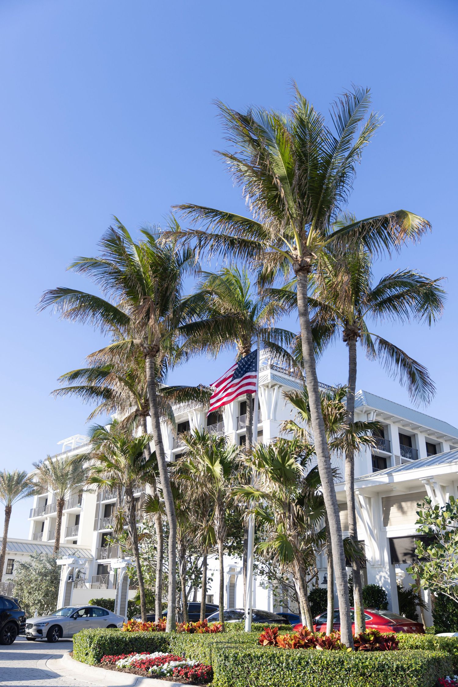 Tall palm trees line the entrance of a white coastal building with an American flag flying under bright blue skies.