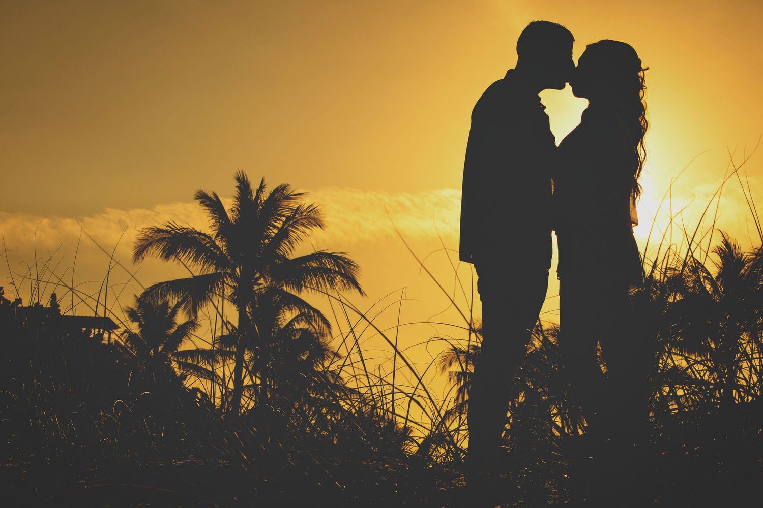 Row of silhouettes against golden sunset with palm trees in tropical setting.