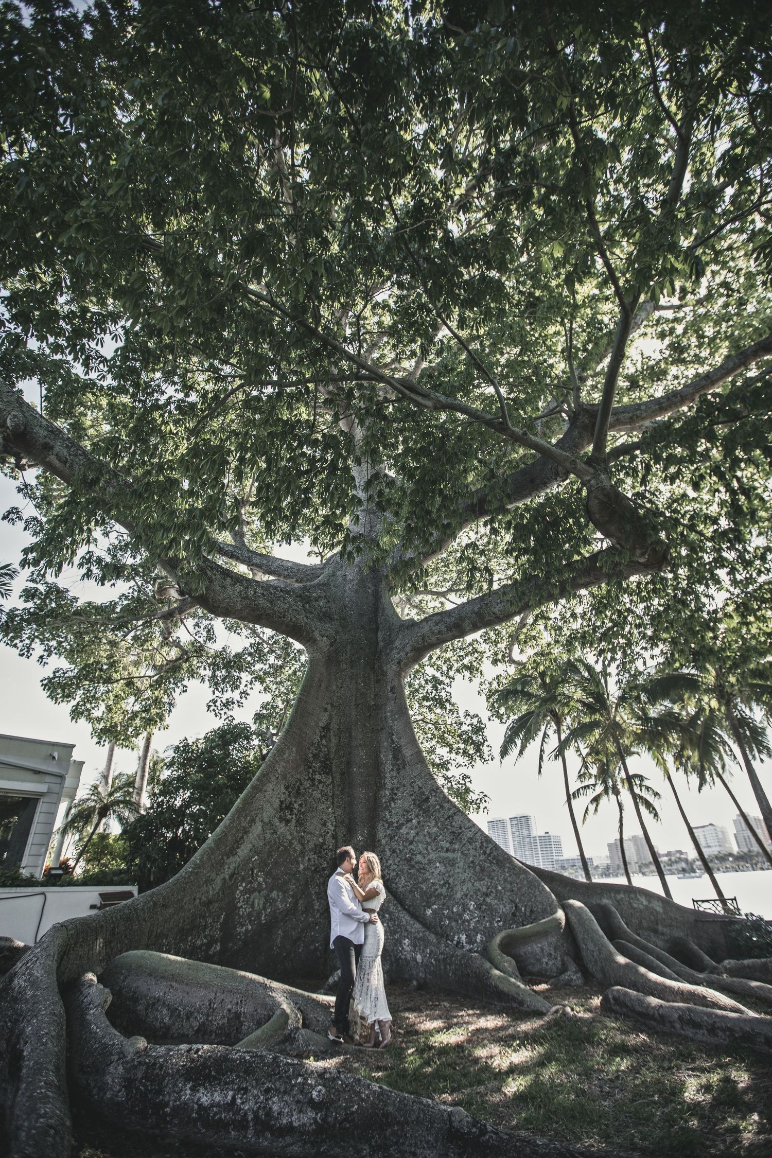 A romantic moment captured under a massive banyan tree with sprawling roots and branches.
