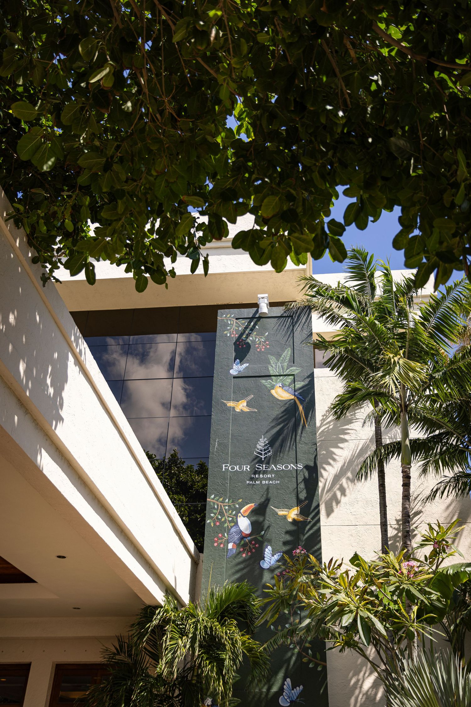 Light streams through lush green tropical foliage against a white architectural structure, creating dappled shadows.