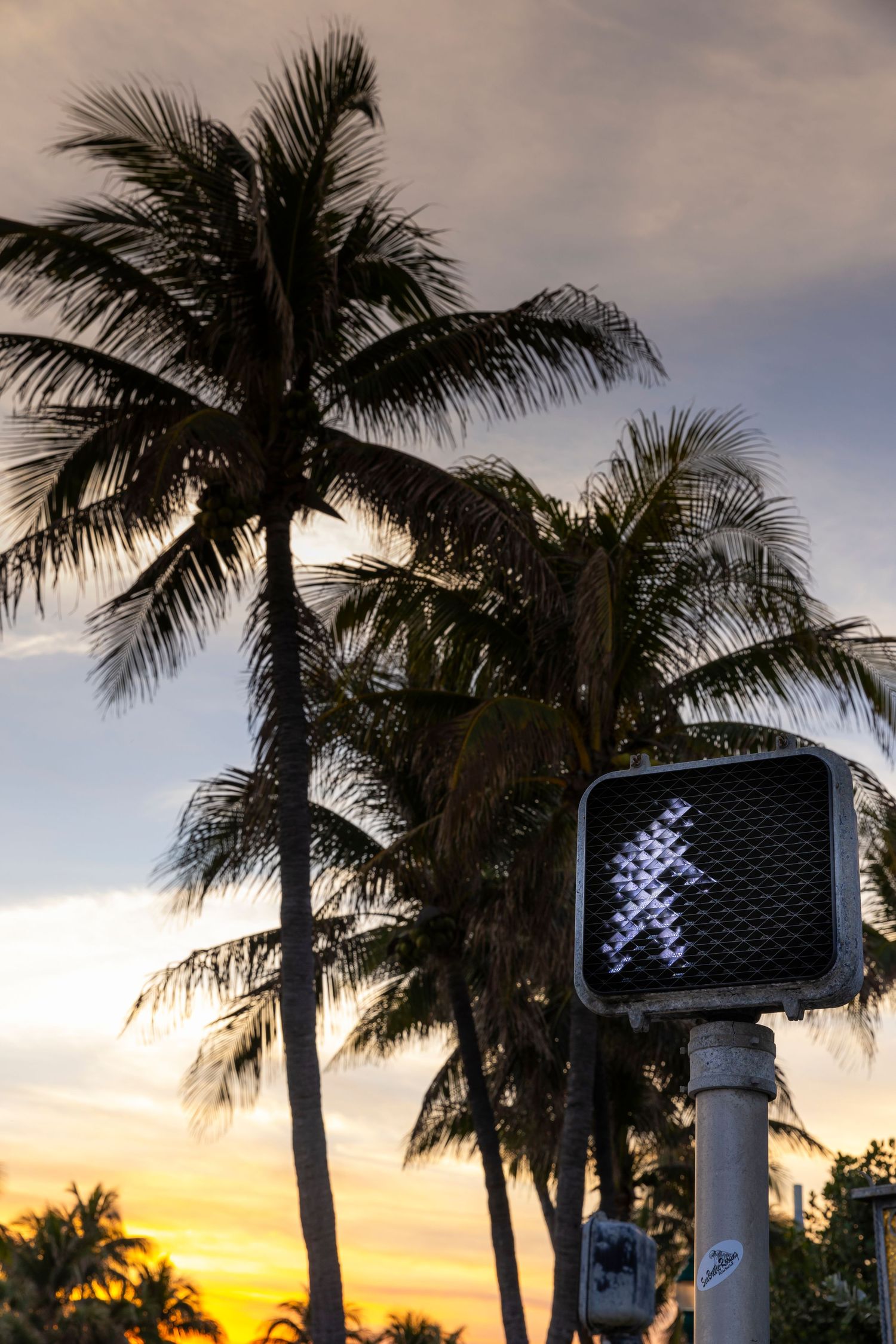 Palm trees silhouetted against a vibrant sunset sky with illuminated walk signal signs along a tropical path.