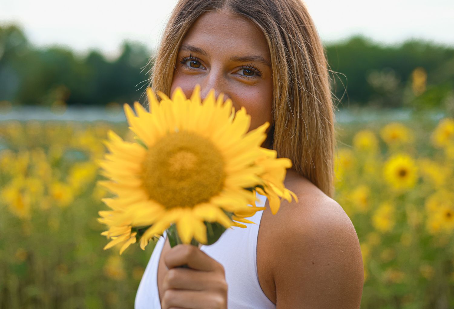 family photography crown point indiana sunflowers senior 2026 photos picture