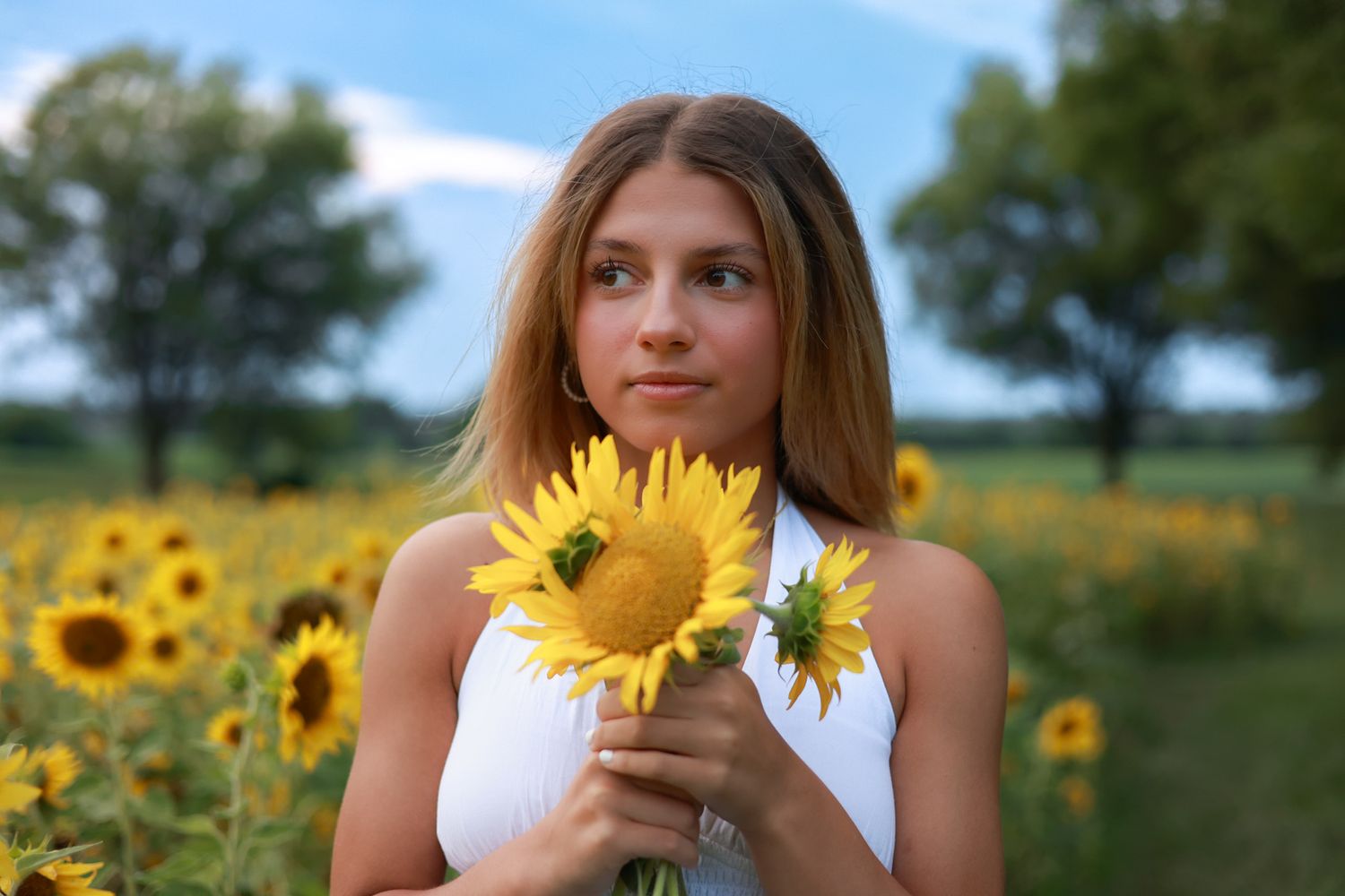 family photography crown point indiana sunflowers senior 2026 photos picture