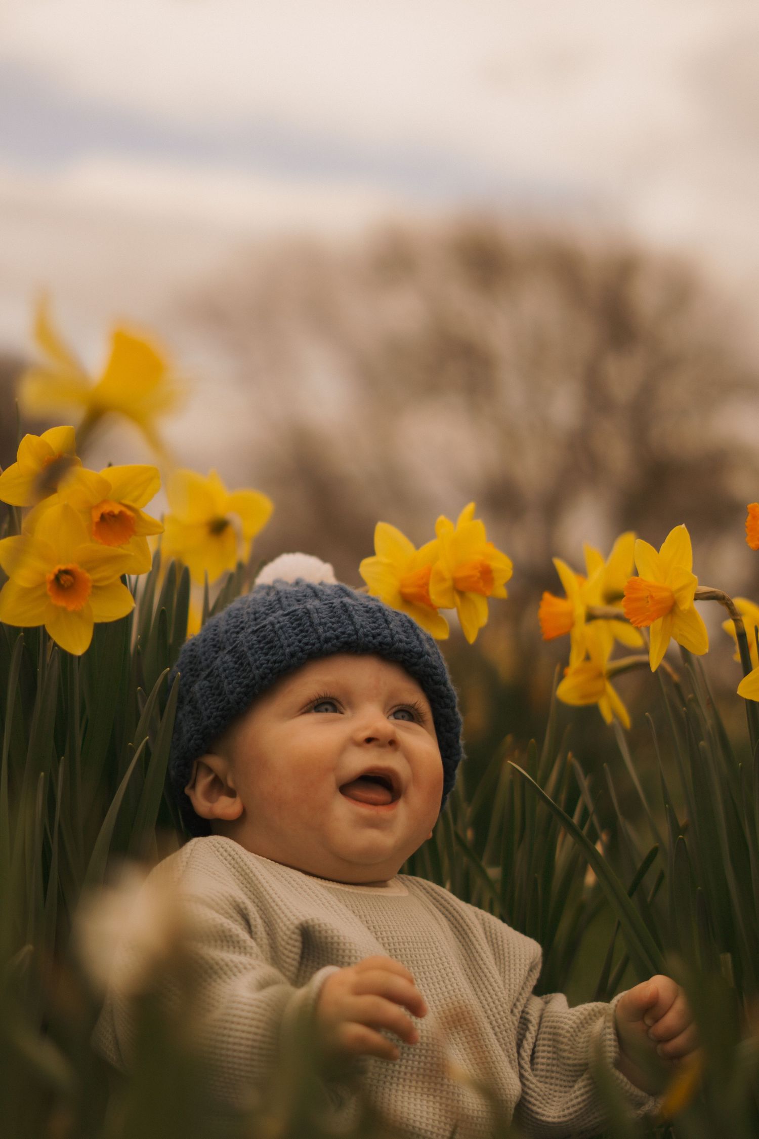 Small figure in blue hat laughing among bright yellow daffodils in a garden.