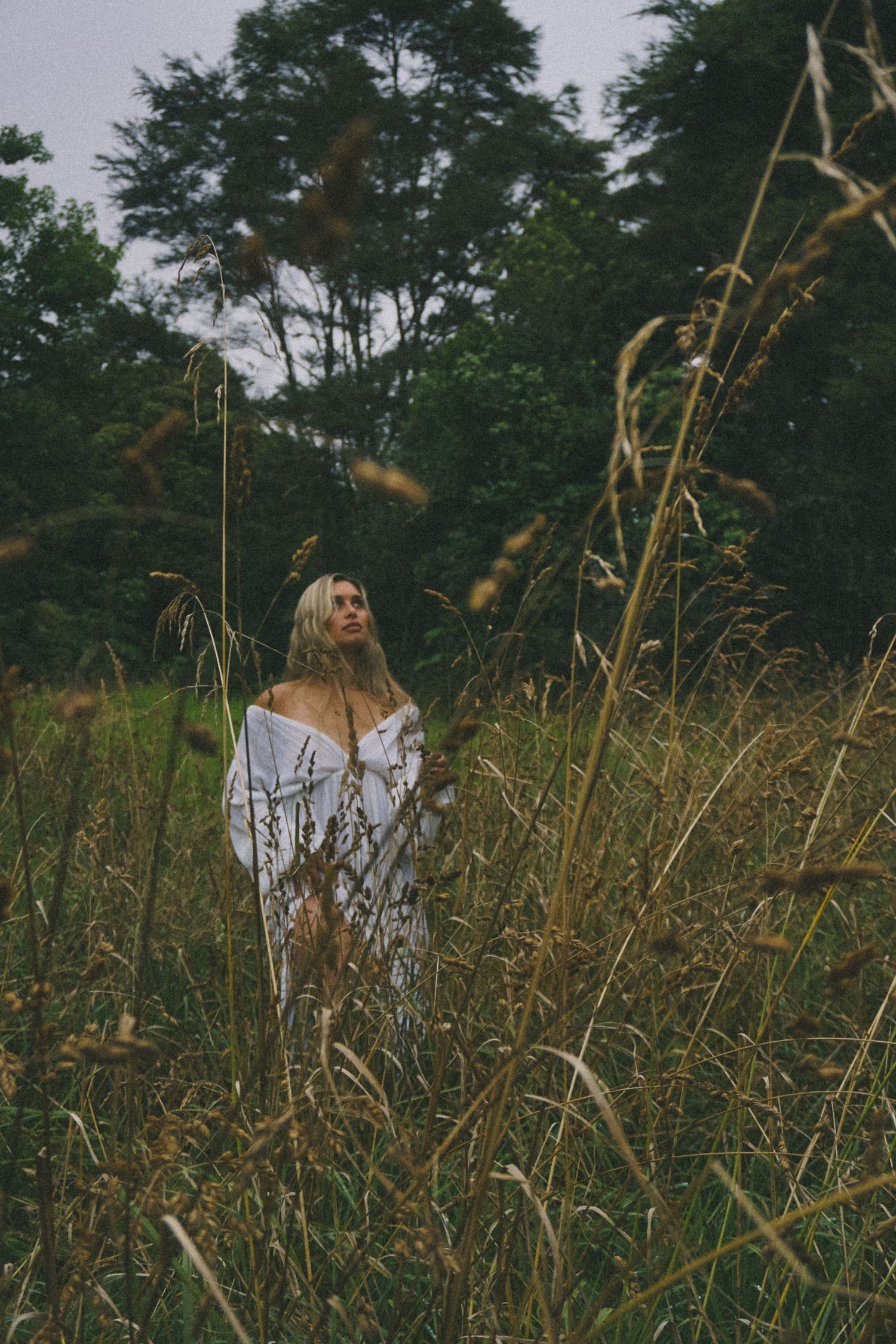 Artistic outdoor portrait through tall grass stalks in moody evening light.