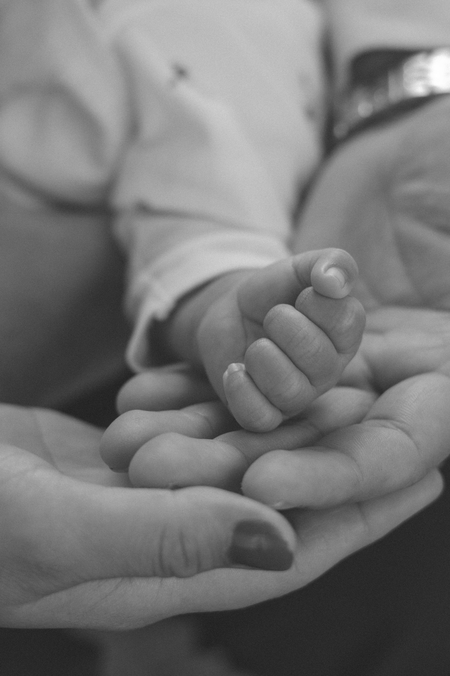 A tiny baby's hand gently rests in an adult's protective palm, captured in black and white.