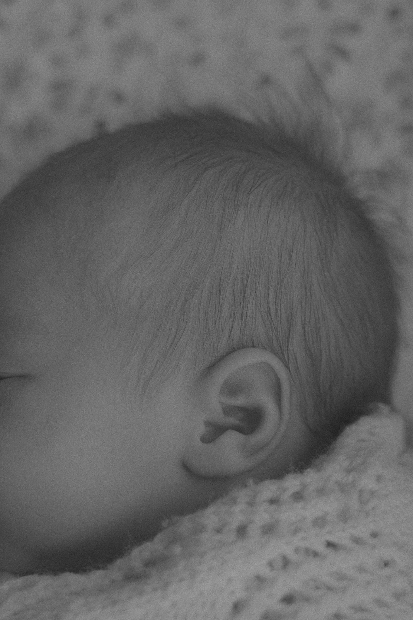 Close-up black and white profile view of a baby's head and ear against a knitted blanket.