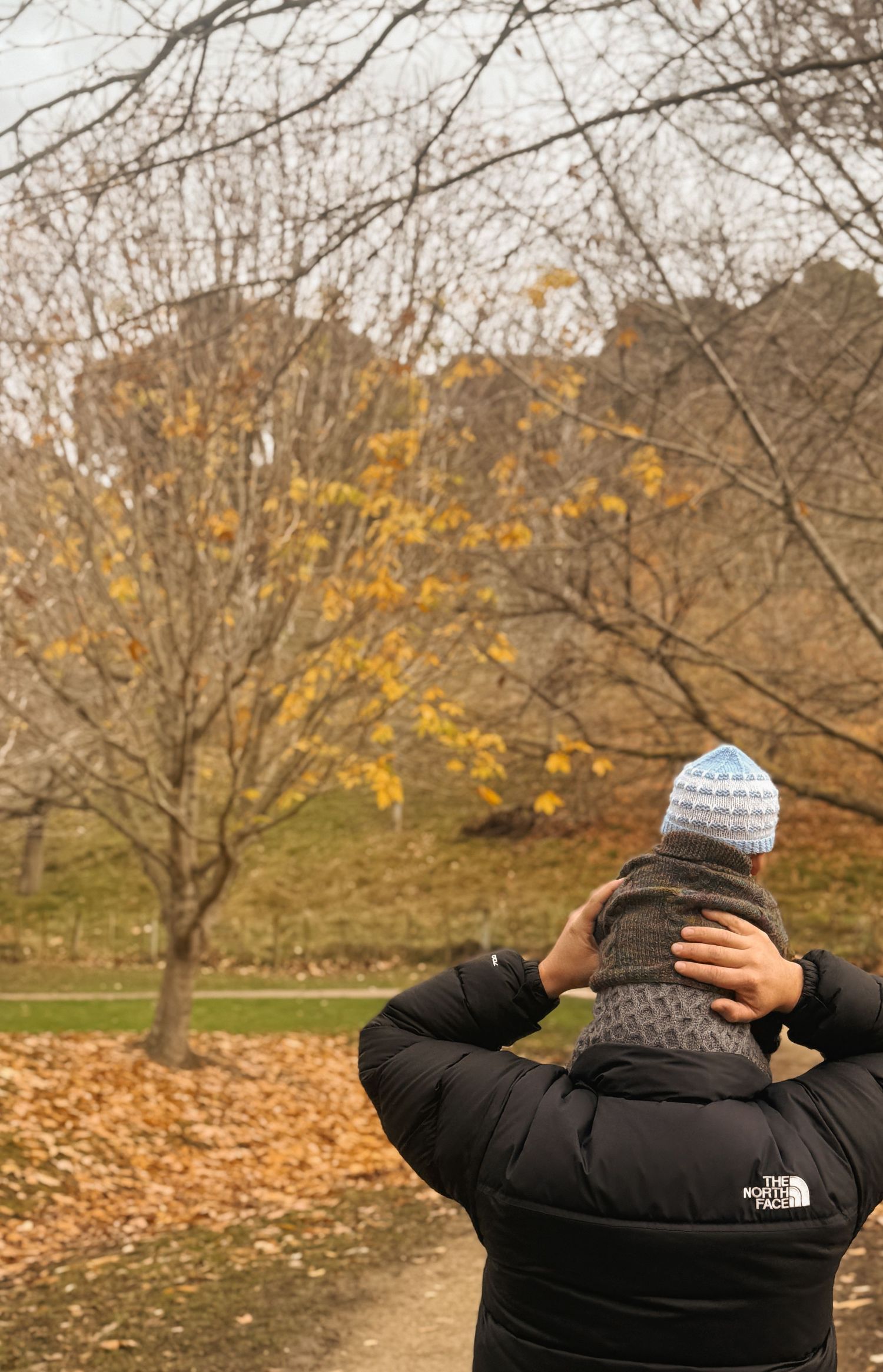 Person in winter coat and beanie adjusting hat while walking through autumn landscape.