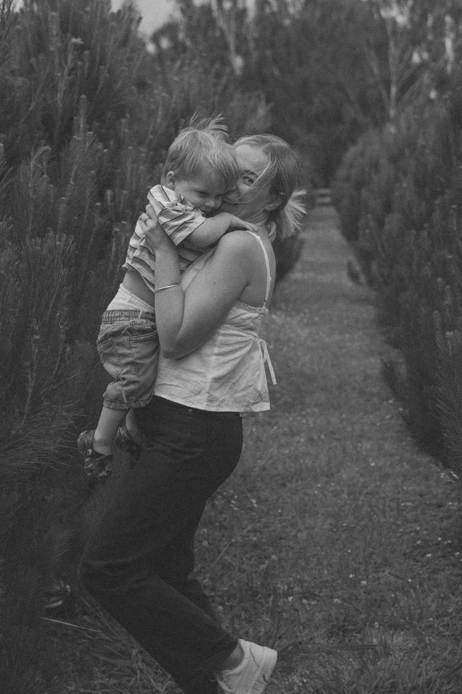 Black and white series of romantic moments between a couple walking through a Christmas tree farm path.