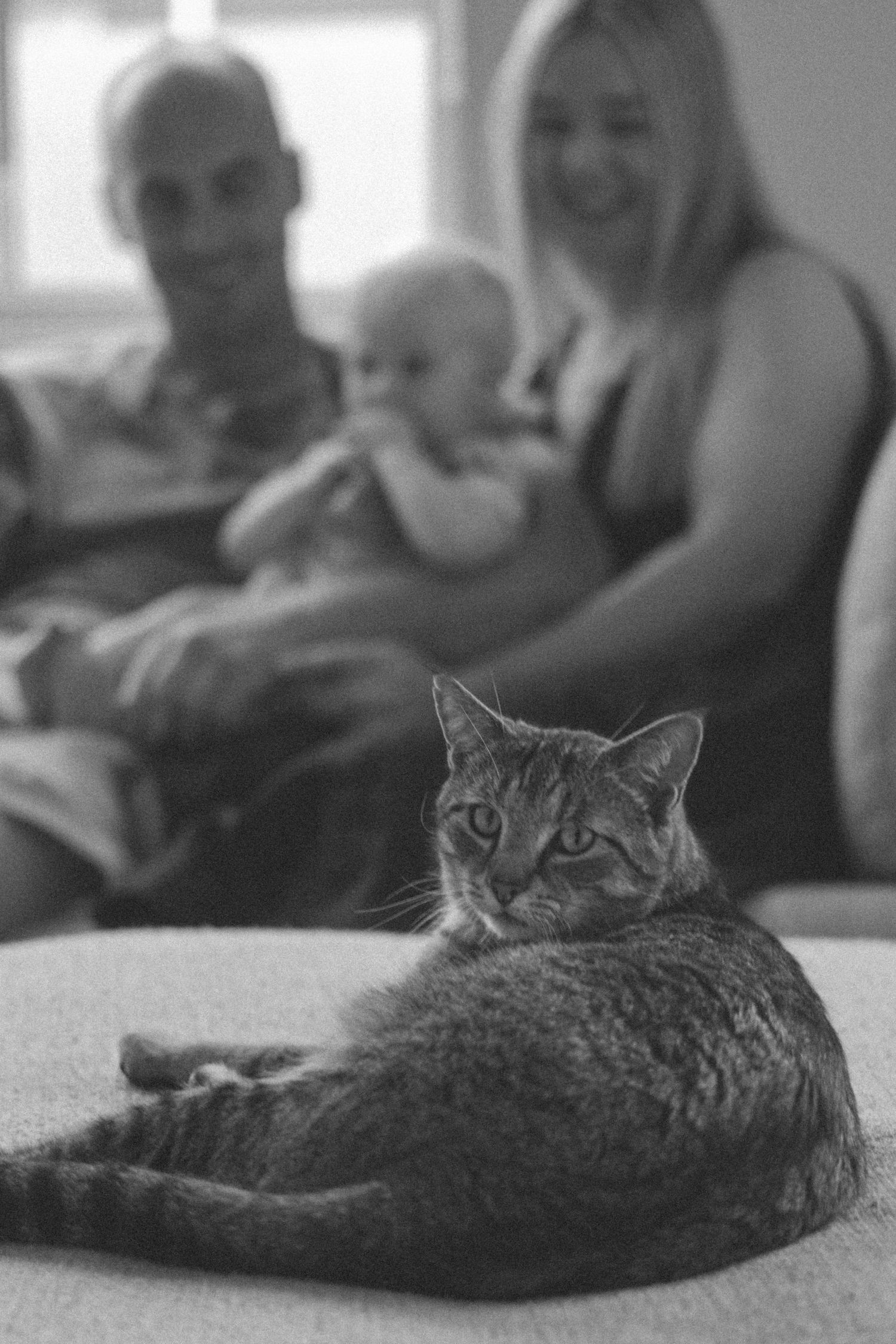 A black and white photo series showing a cat lounging and stretching on a carpet in different relaxed poses.