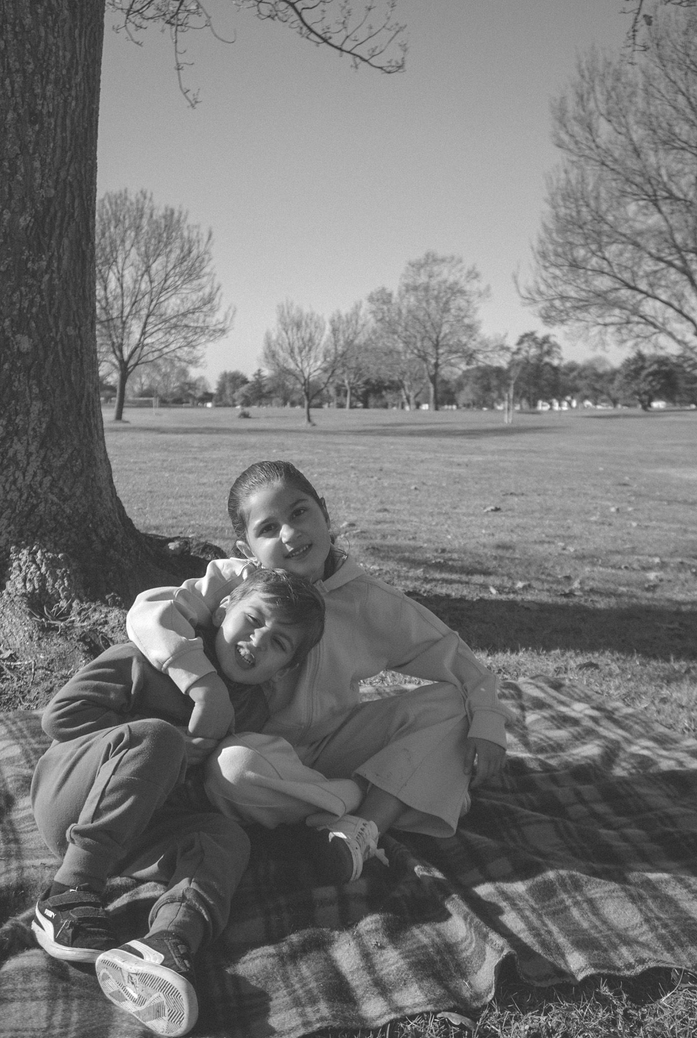 People relaxing together on a plaid blanket under a tree's shadow.