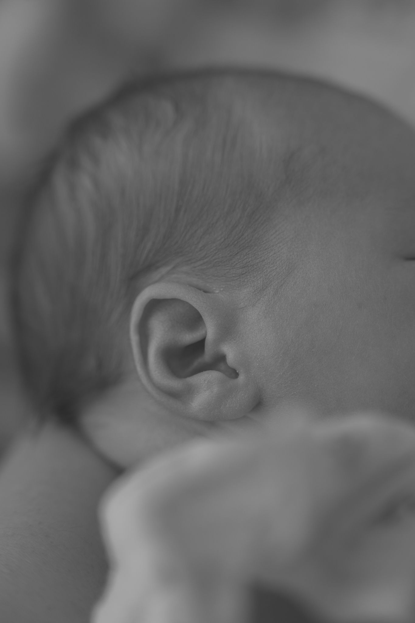 Close-up black and white image of a sleeping baby's ear and head profile against a soft background.