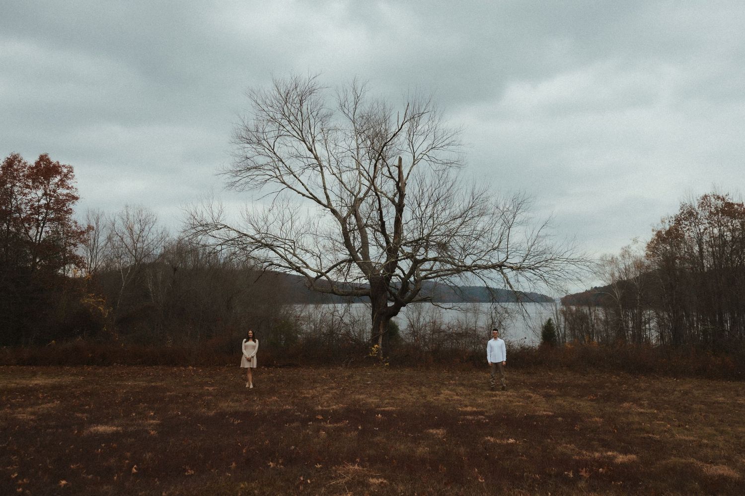 A panoramic series of landscape photos showing barren winter trees against a cloudy gray sky.