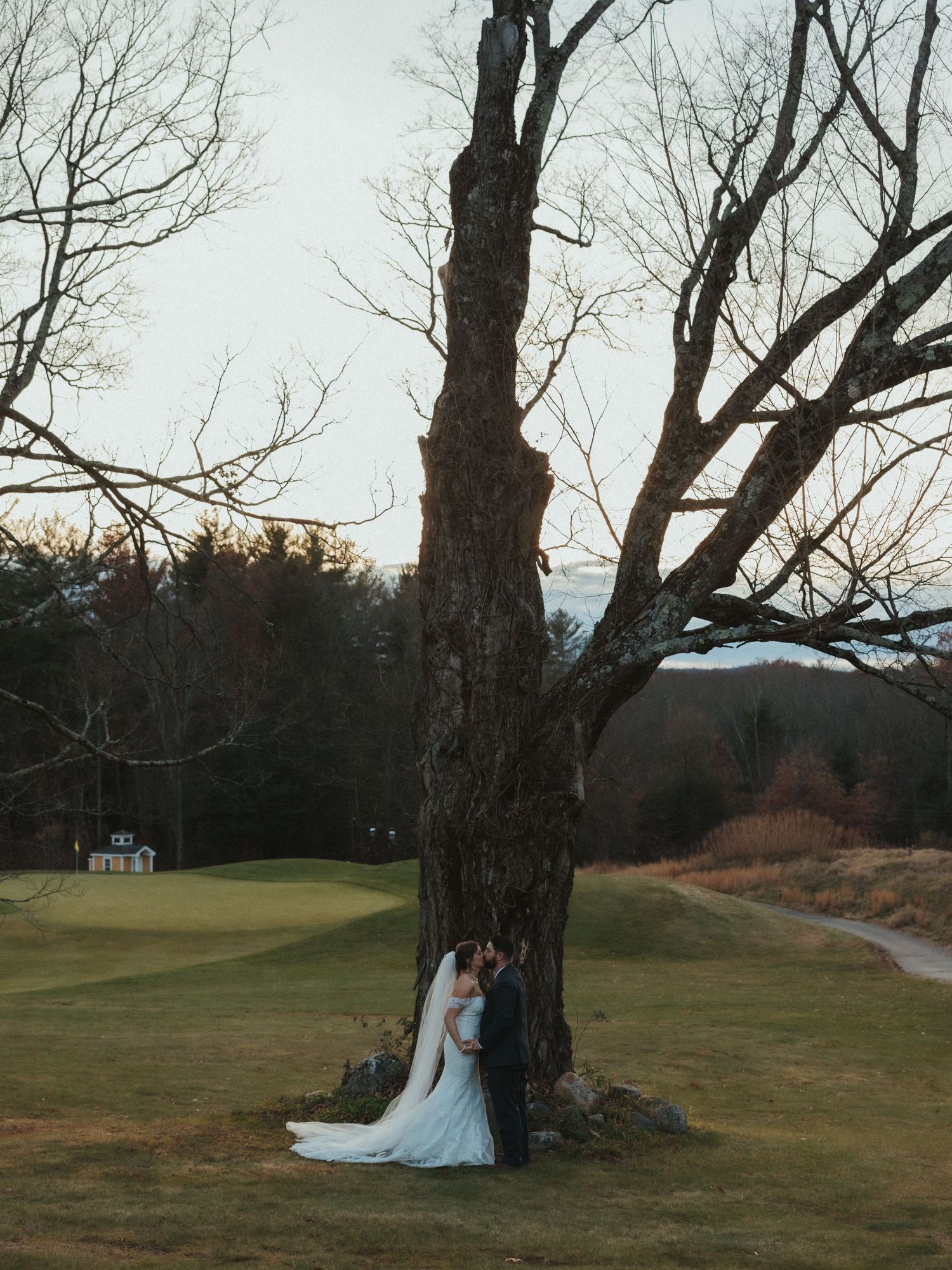 A scenic wedding photo taken against a large tree on a golf course with mountains in the background.