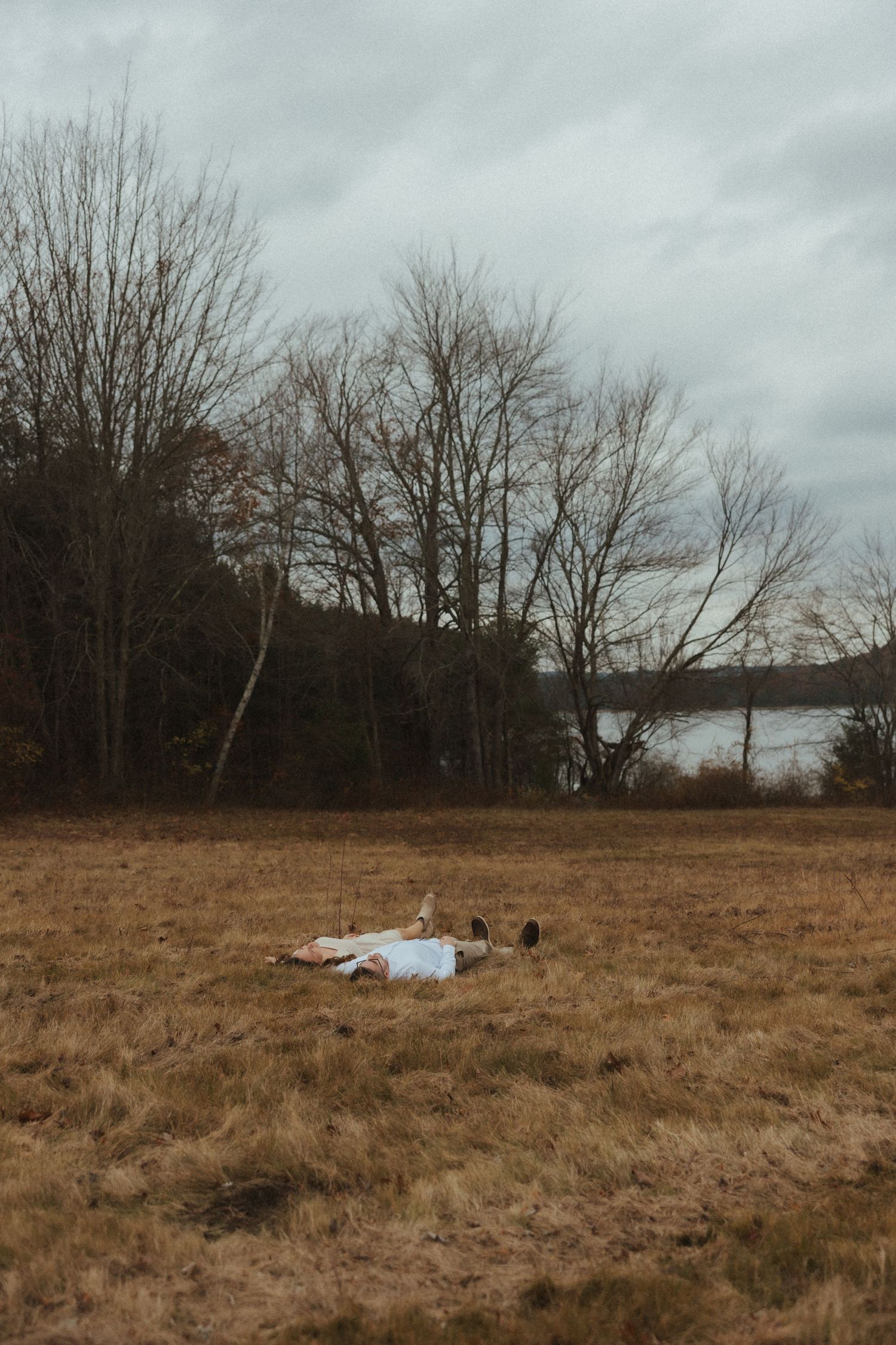 A barren winter field with bare trees and brown grass under an overcast sky.