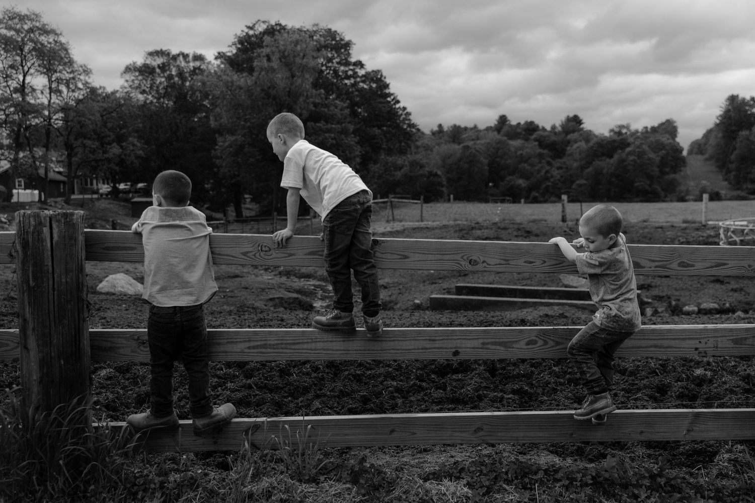 A series of grayscale photos showing a wooden fence being constructed in a rural landscape setting.