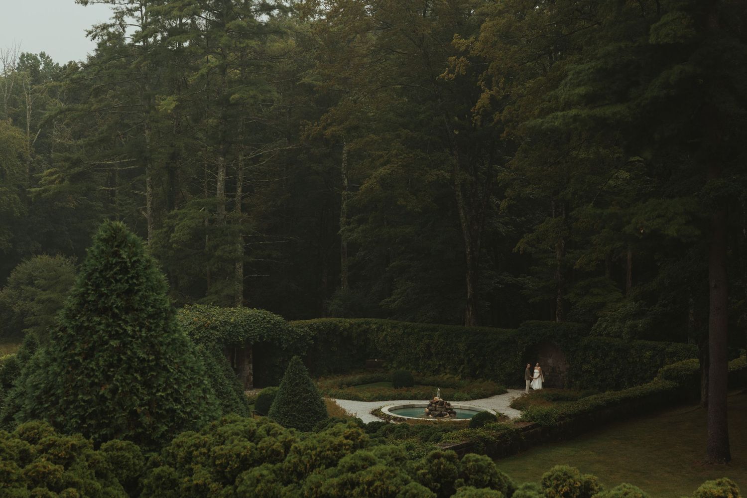 Wooded garden path with evergreen trees and landscaped grounds.