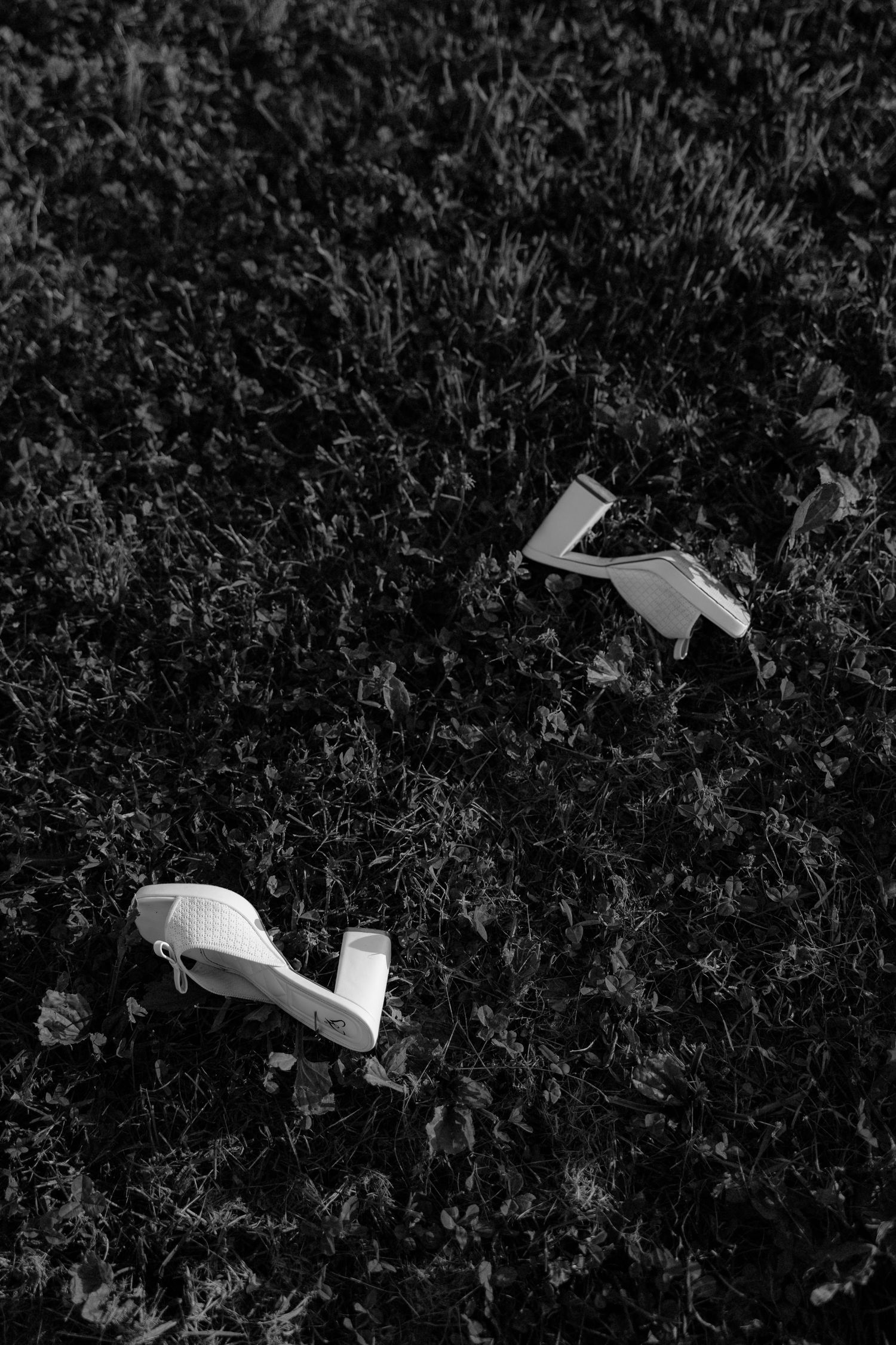 Paper airplanes scattered across dark grass create a playful outdoor scene in black and white.