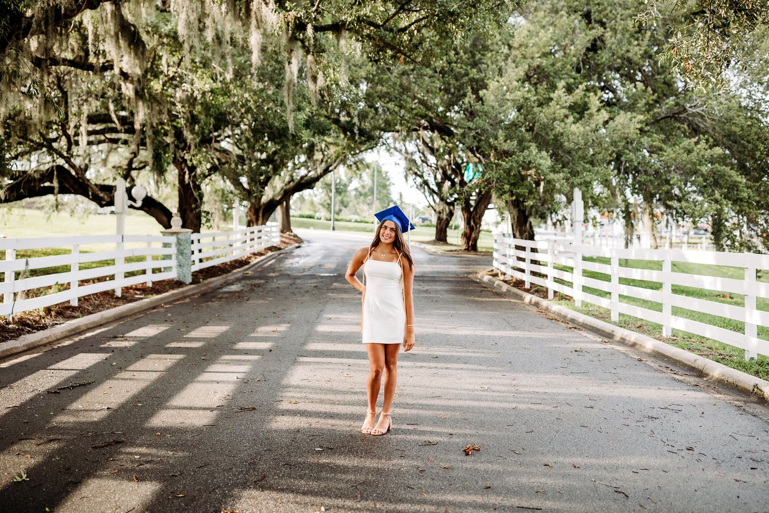 A series of wooden fence-lined paths with Spanish moss draped trees along a white fence walkway in a rural setting.