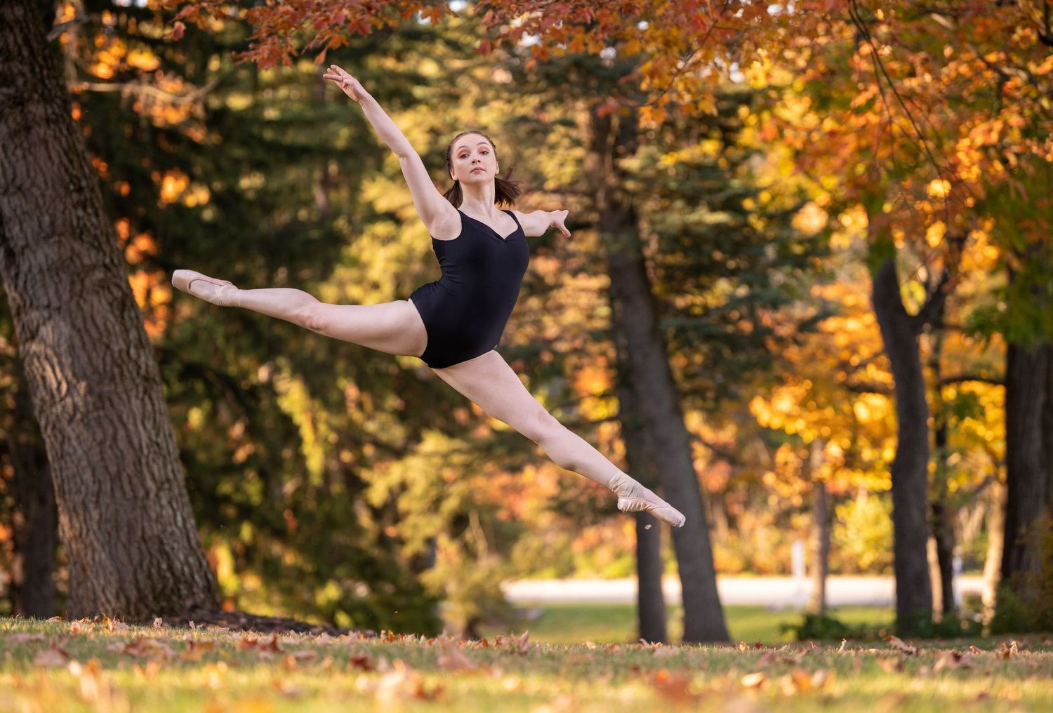 Ballet dancer in black leotard leaps gracefully against a backdrop of autumn trees, leaves scattered on the ground.