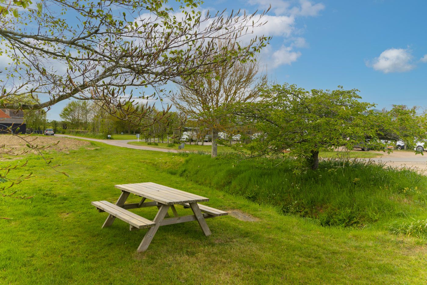A lone picnic table sits on a grassy hillside with trees and blue sky on a sunny day.