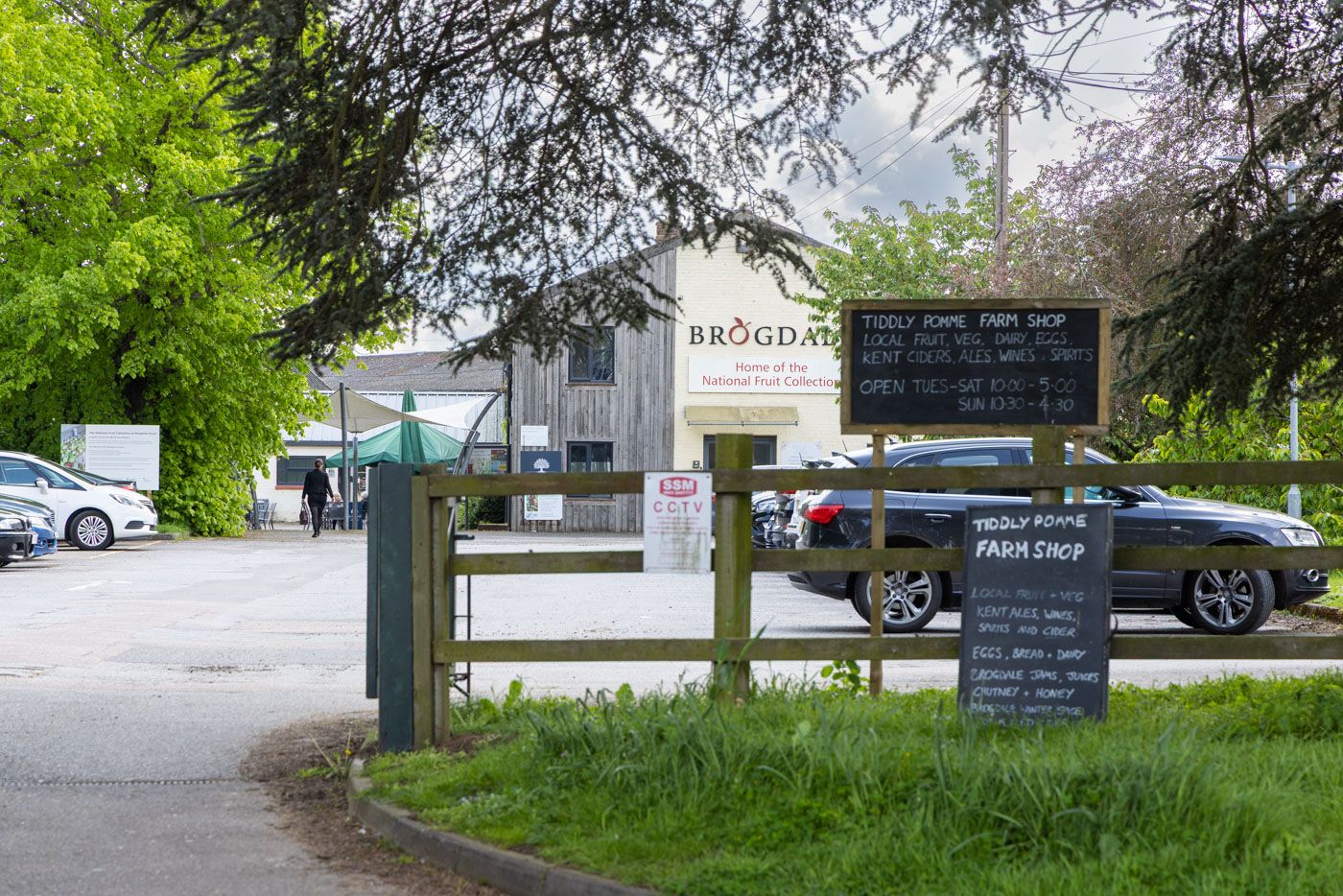Entrance driveway to Brogdale Farm with chalkboard menu signs and parked cars visible among green trees.
