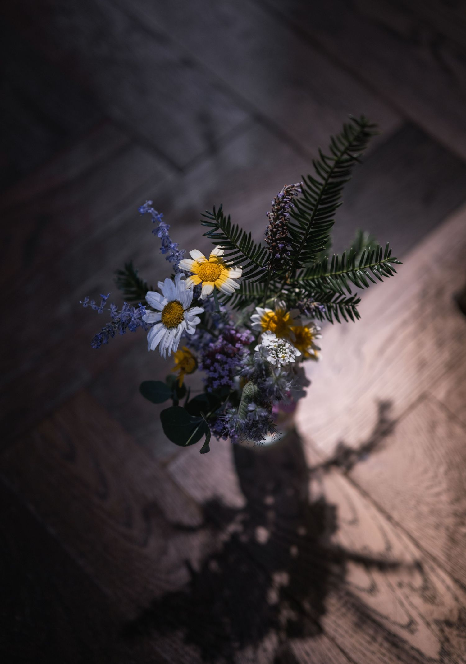 A small glass vase with daisies, ferns, and wildflowers casting a dramatic shadow on a dark wooden floor.