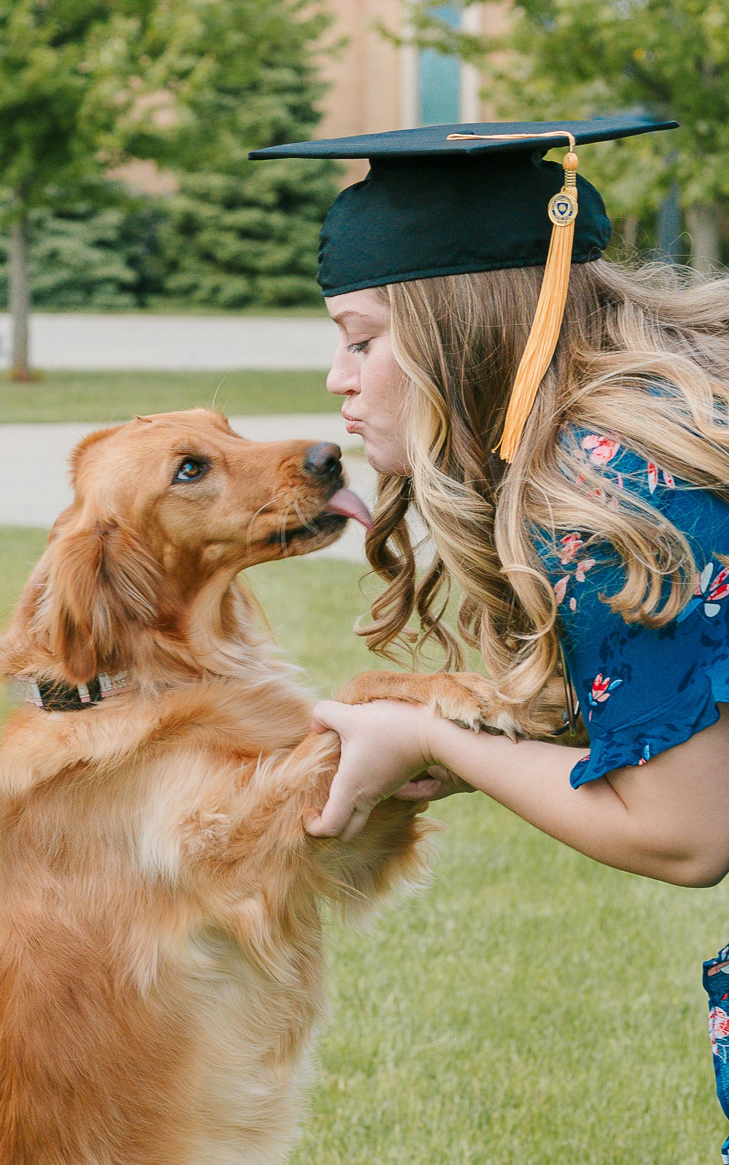 Pet Photographer