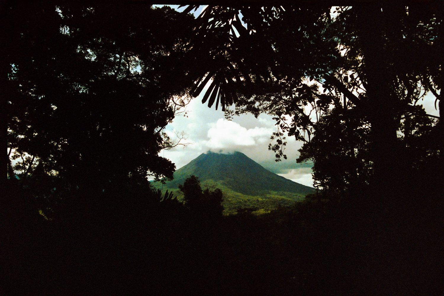 A lush, forested landscape frames a distant, hazy mountain peak in the background.
