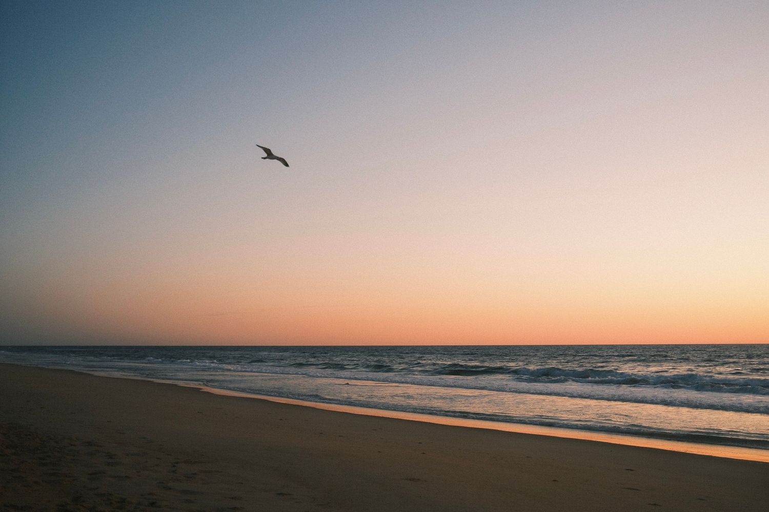 A serene beach scene with a bird soaring in the sky at sunset.