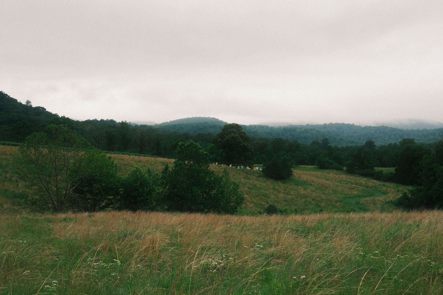 A scenic landscape with rolling hills, lush green meadows, and distant mountains in the background.
