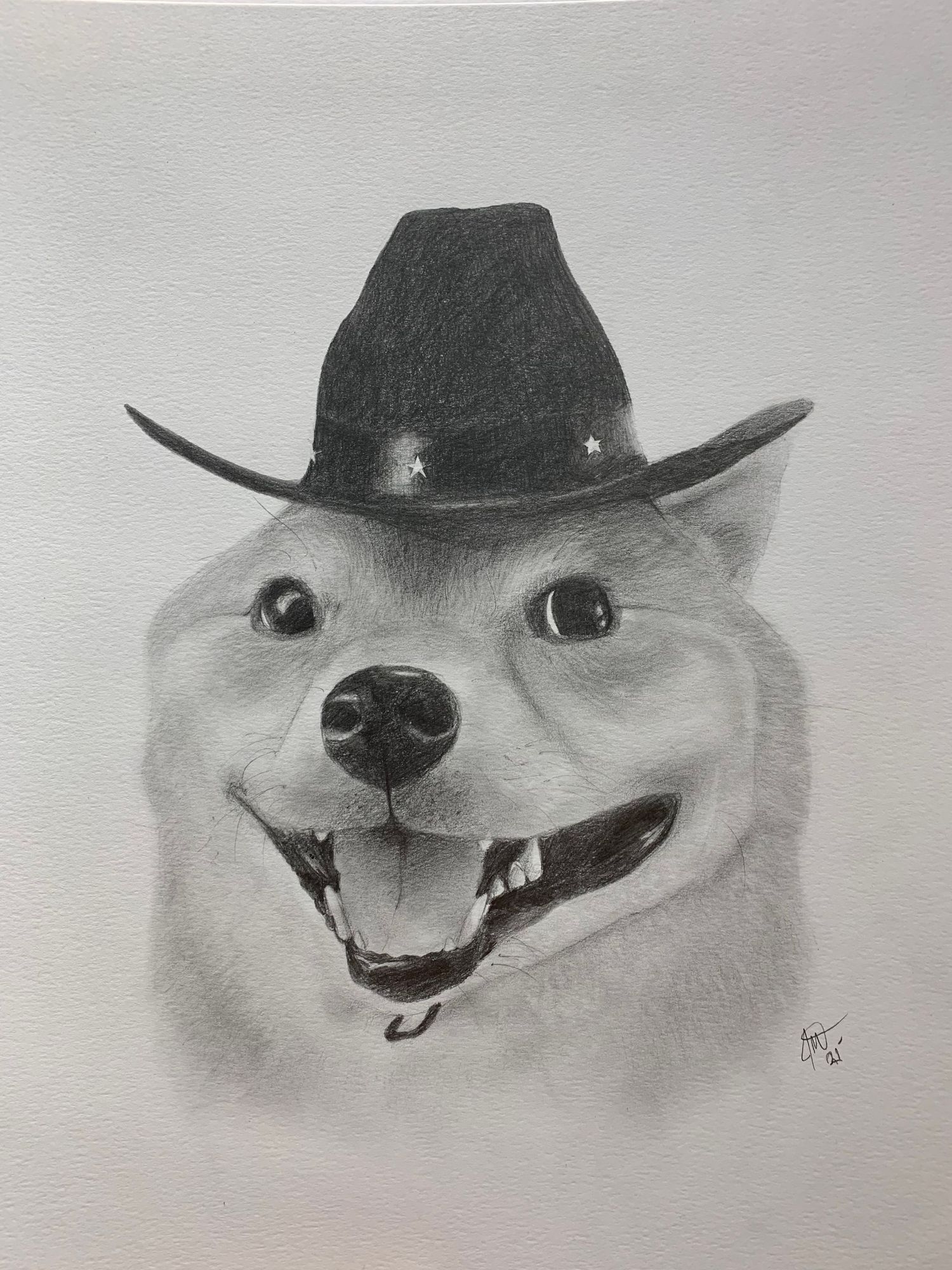 A series of sketches showing a smiling dog wearing a cowboy hat in different expressions.
