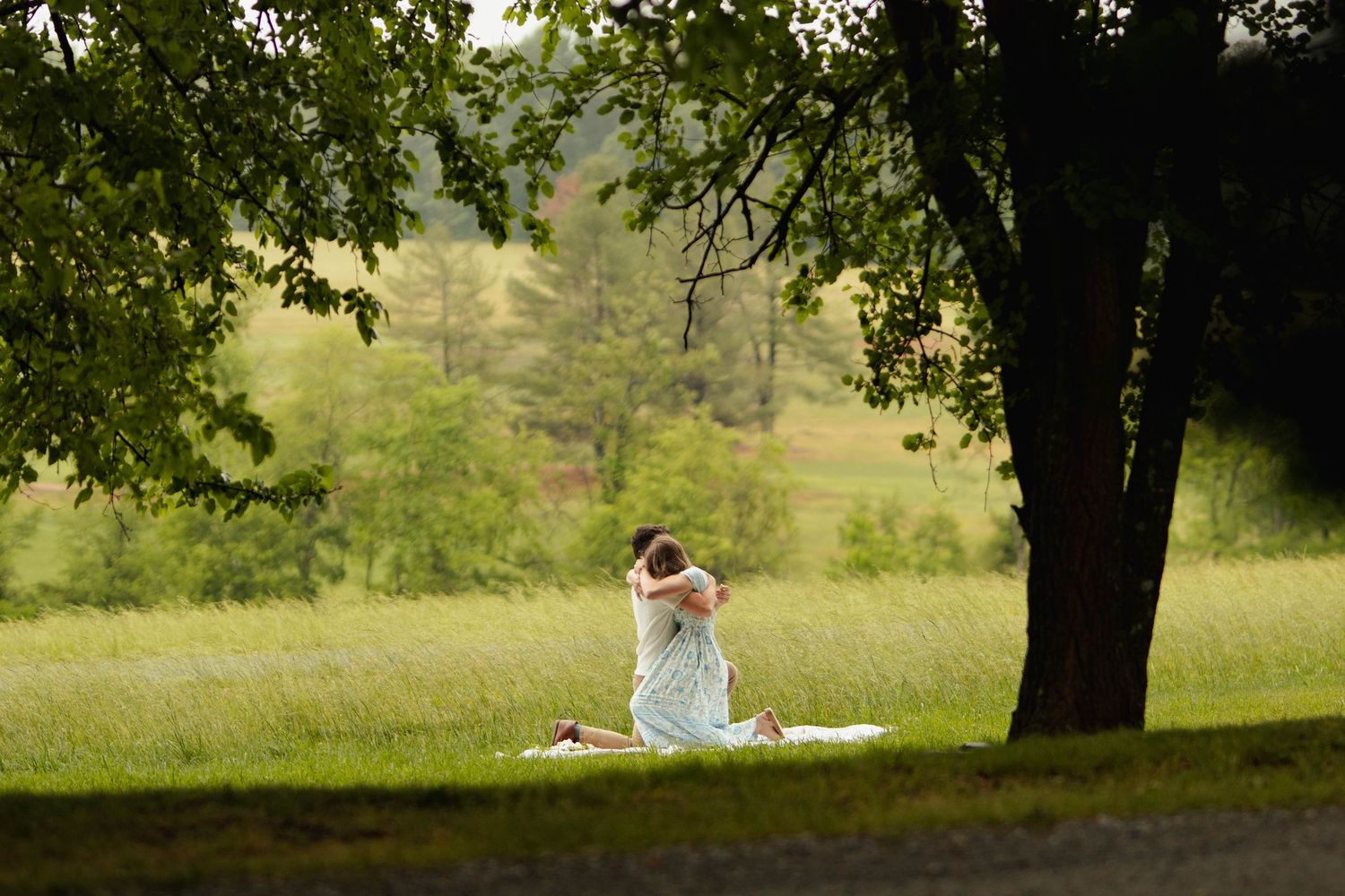 A woman in a white dress sits on a blanket under a large tree in a lush green meadow, embracing someone tenderly.