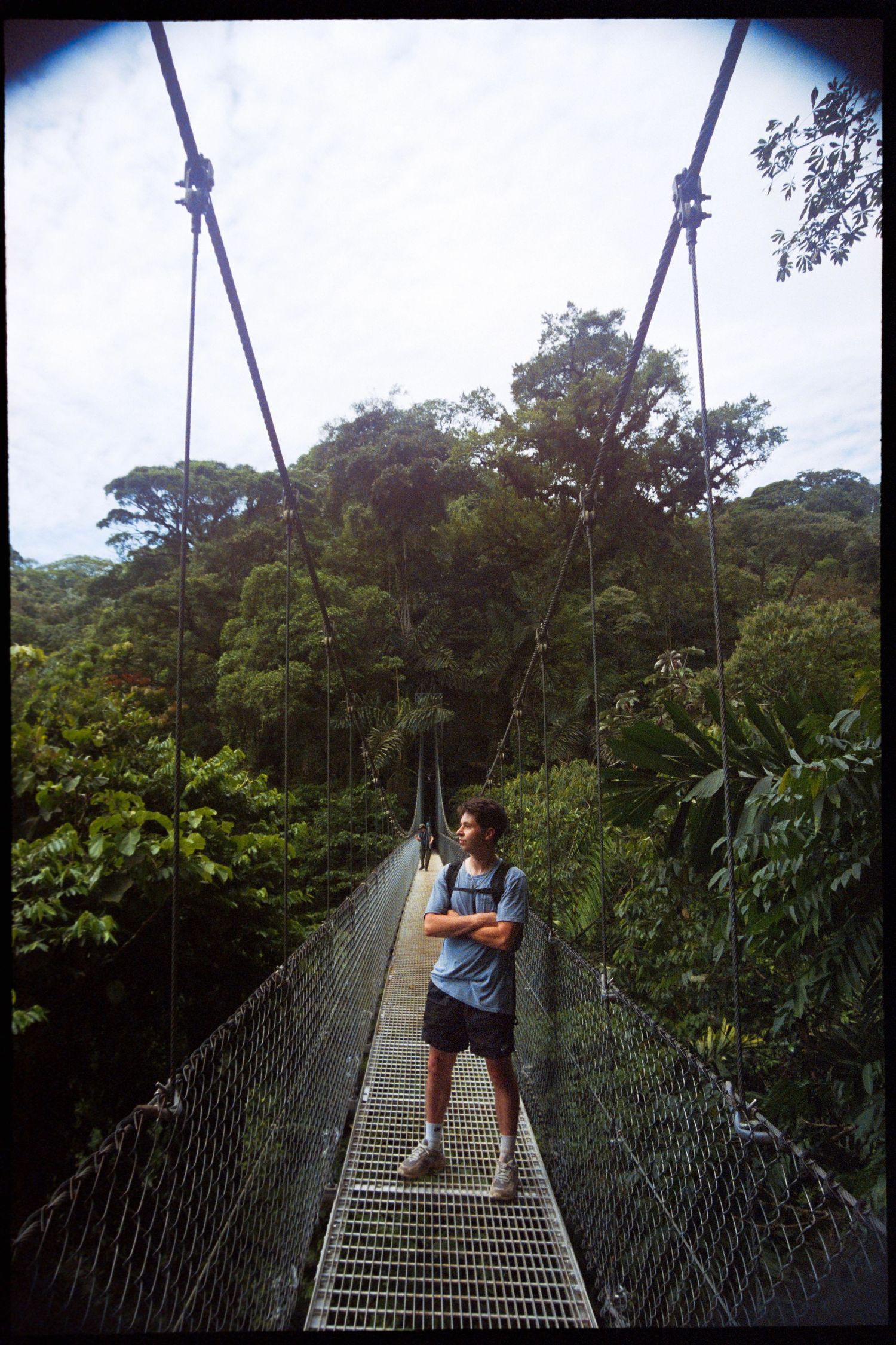 A person walking across a suspension bridge in a lush, tropical forest.