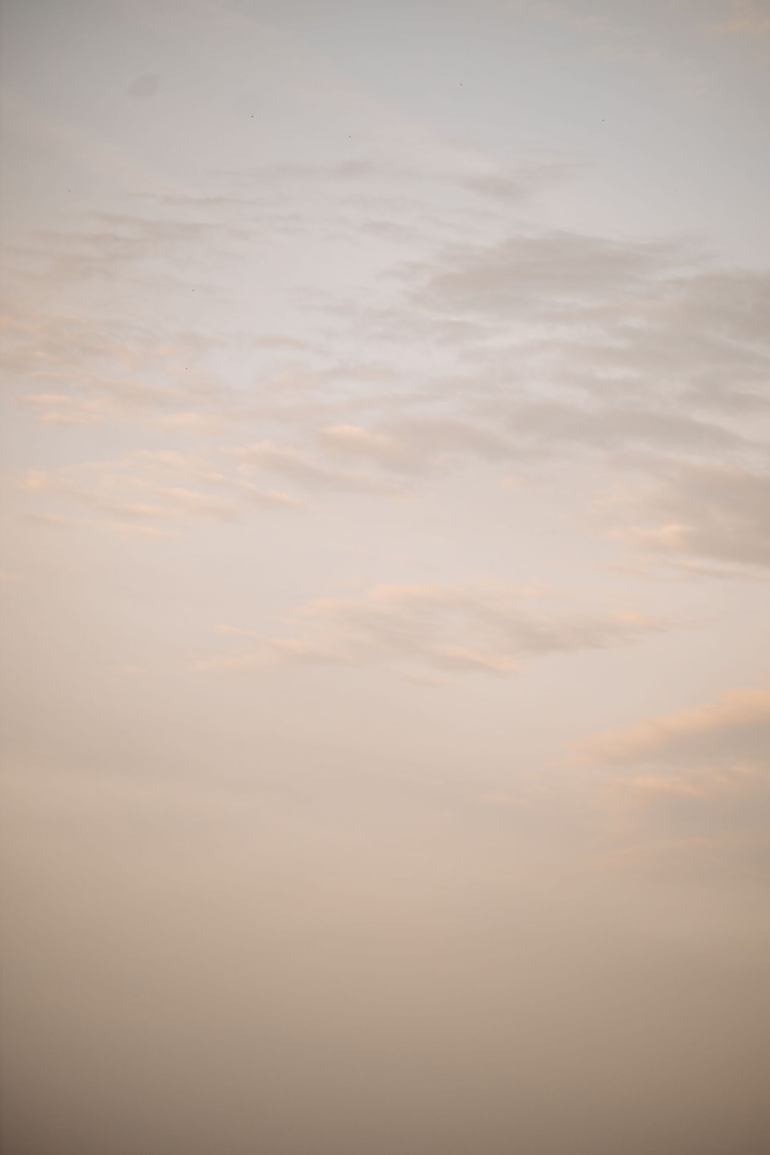 Soft pastel sky at dusk with wispy pink and orange clouds in a serene atmospheric scene.