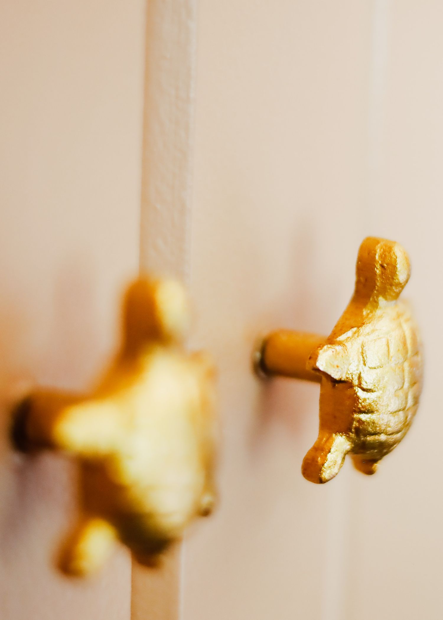 Two gold turtle-shaped cabinet door knobs on white painted furniture in soft focus.