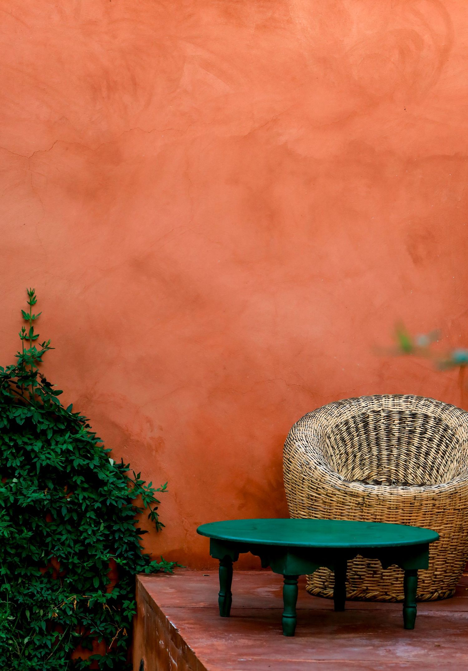 Wicker chair and green table against vibrant terracotta orange wall with lush green plant.