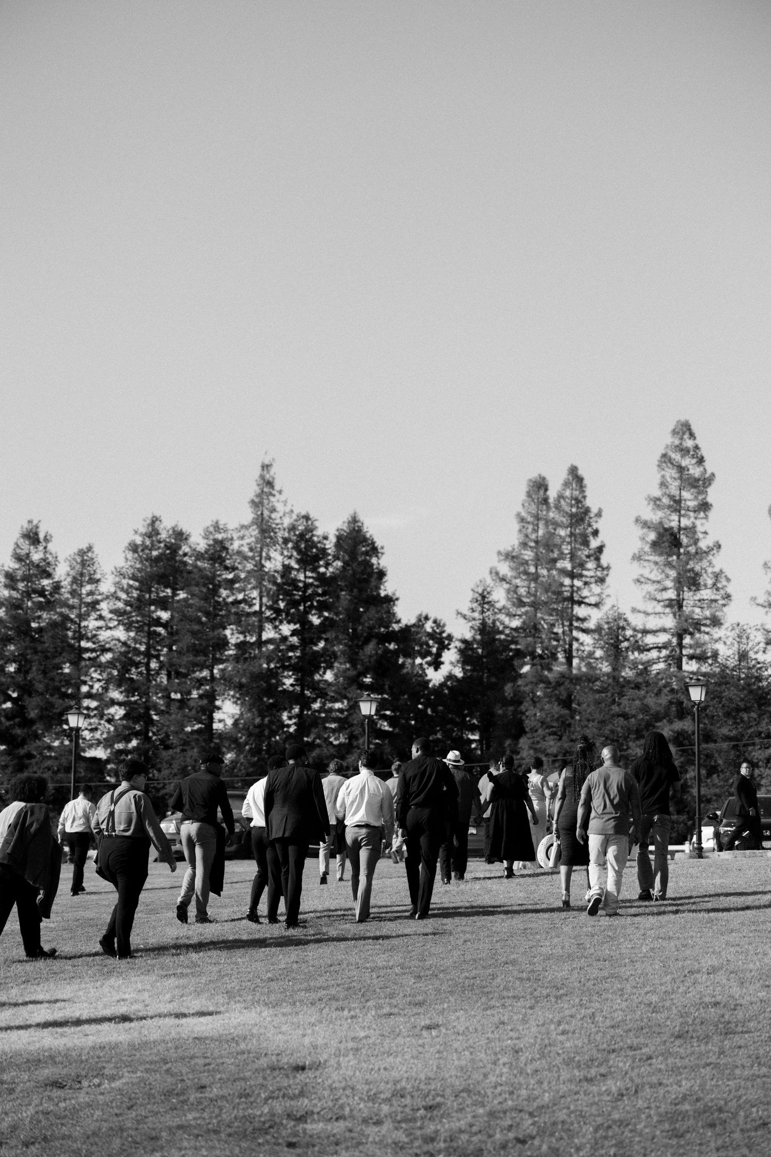 Black and white photo of a group of people walking across a grassy park with tall pine trees in the background.