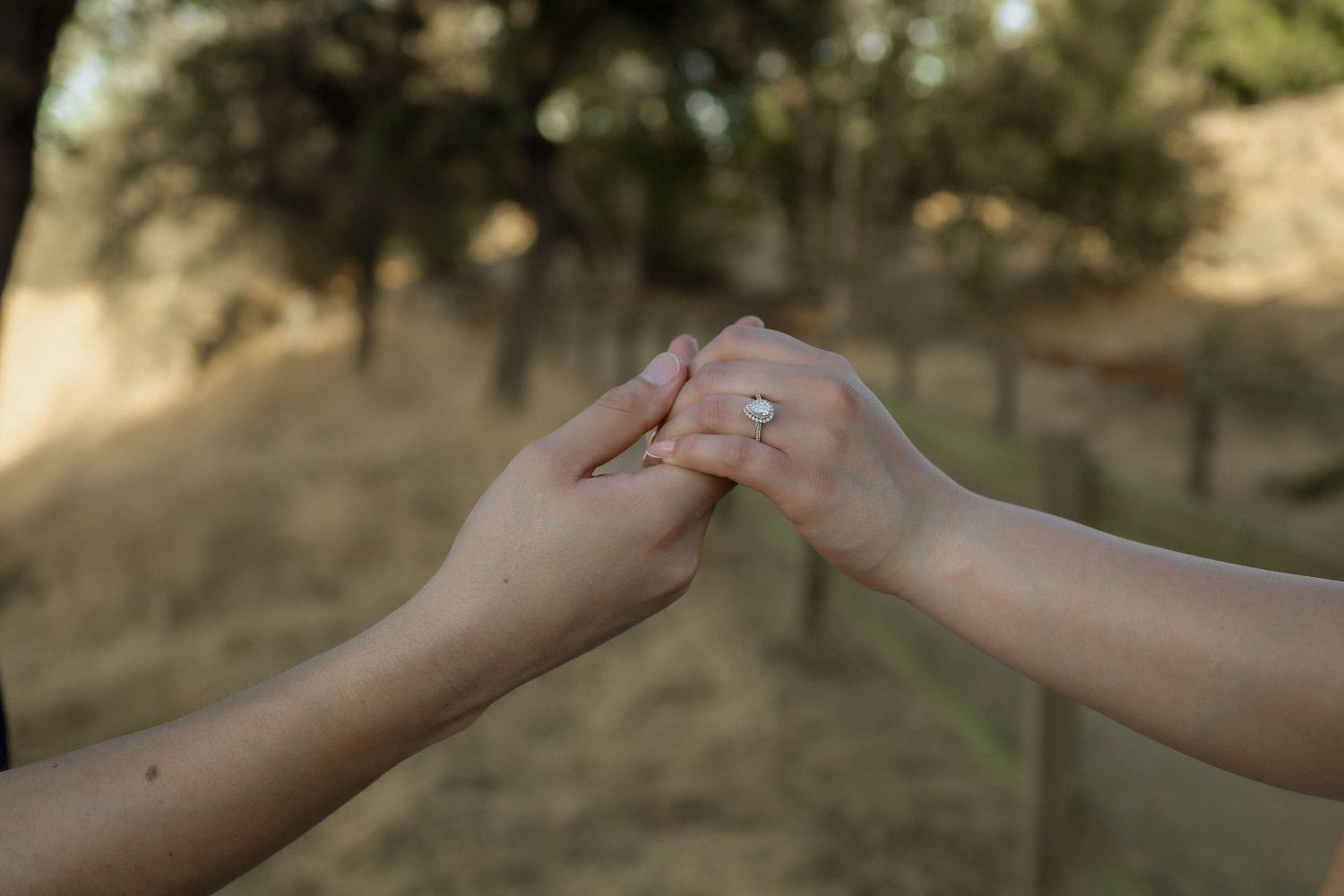 Hands reaching out to hold each other against a blurred natural background.