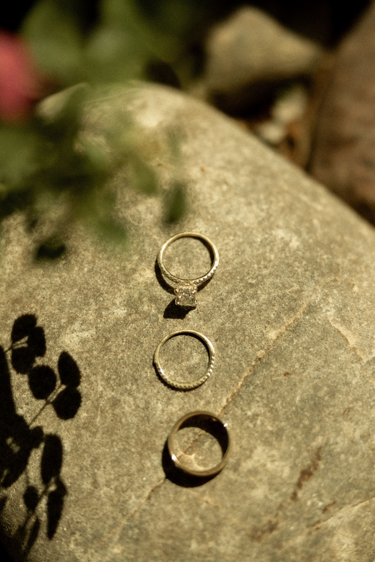 Three gold wedding rings displayed on a natural stone surface with soft shadows and green foliage in the background.