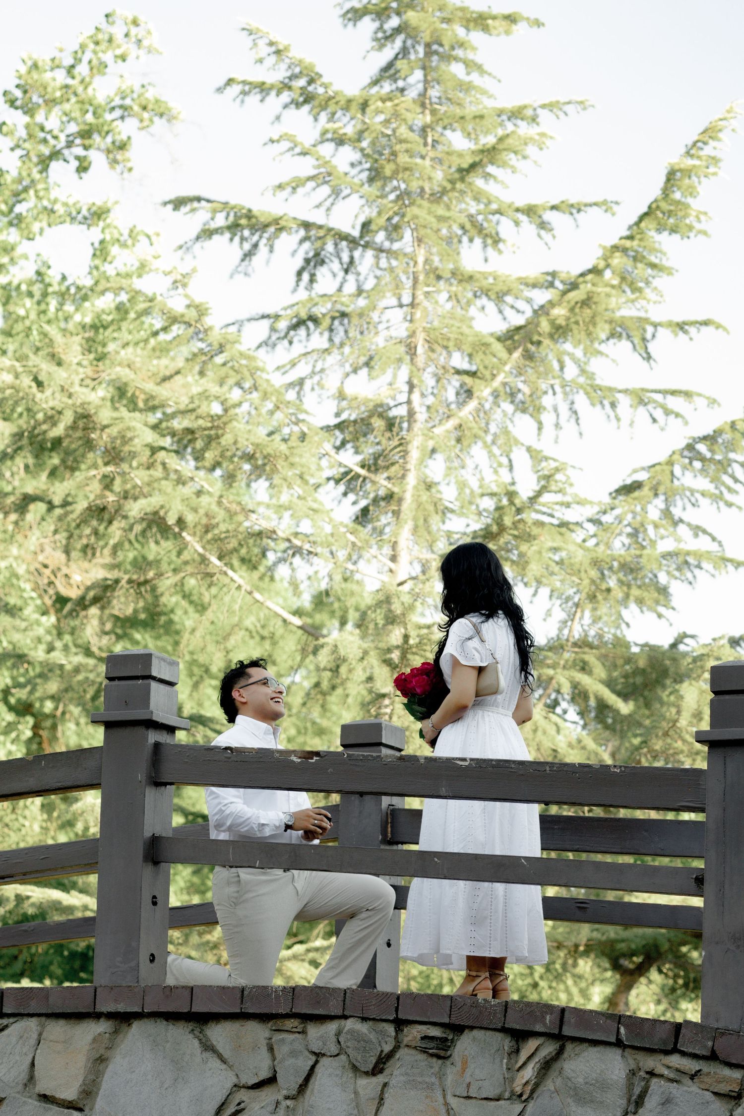 A romantic proposal moment on a wooden bridge surrounded by tall evergreen trees.