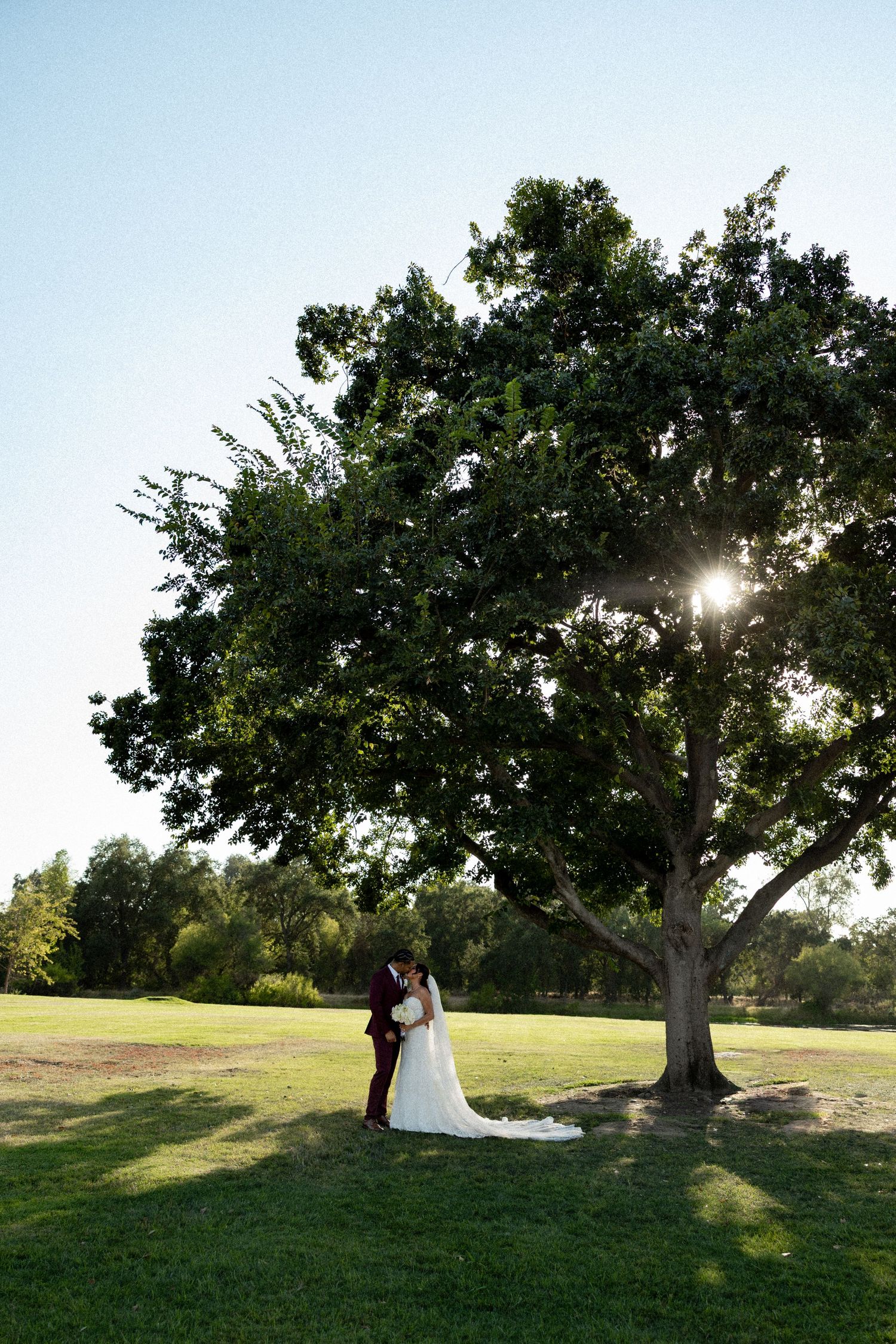Bride and groom share romantic kiss under large oak tree on green lawn at golden hour.