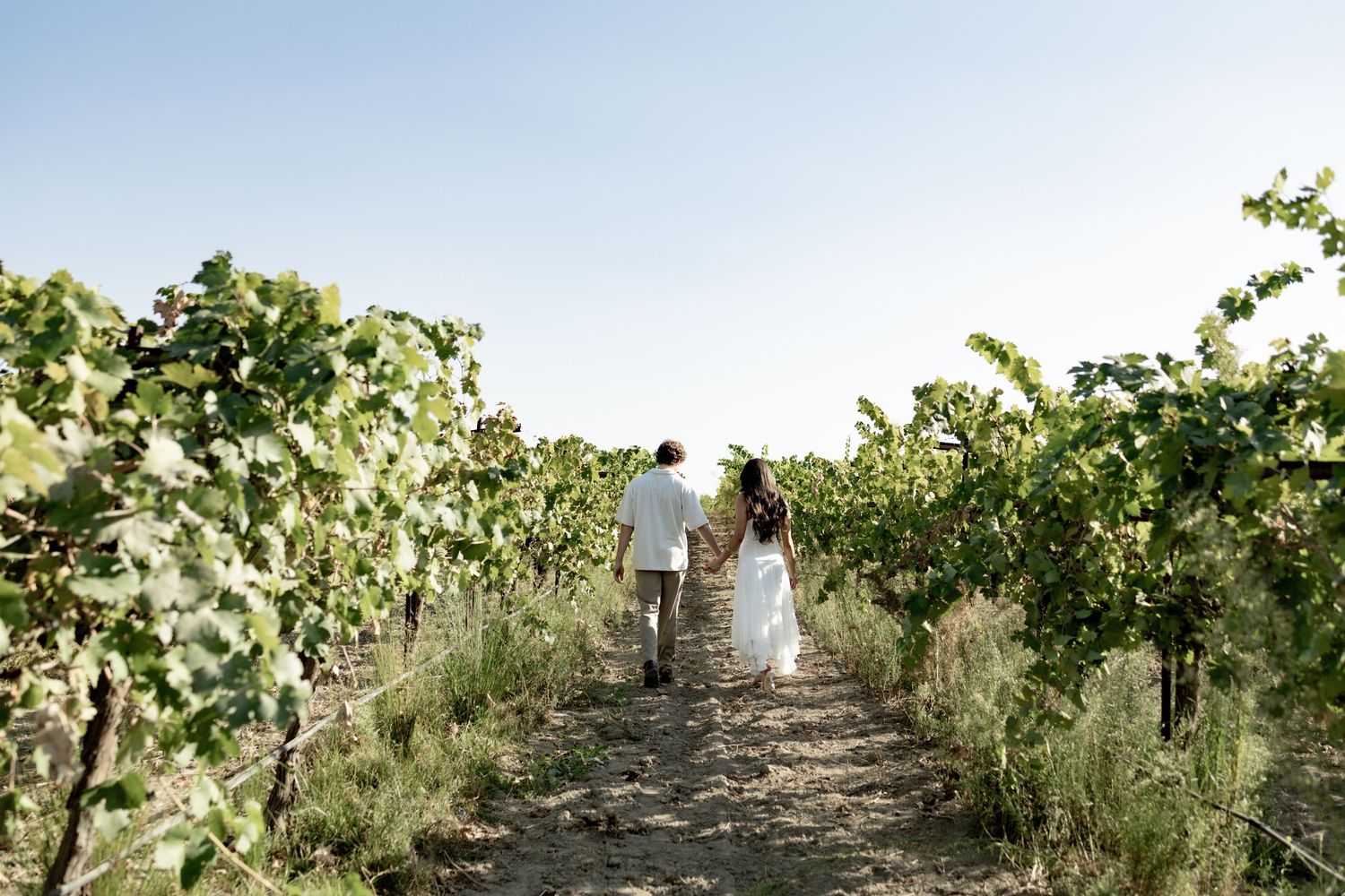 Couple walking hand in hand through a scenic vineyard on a sunny day.