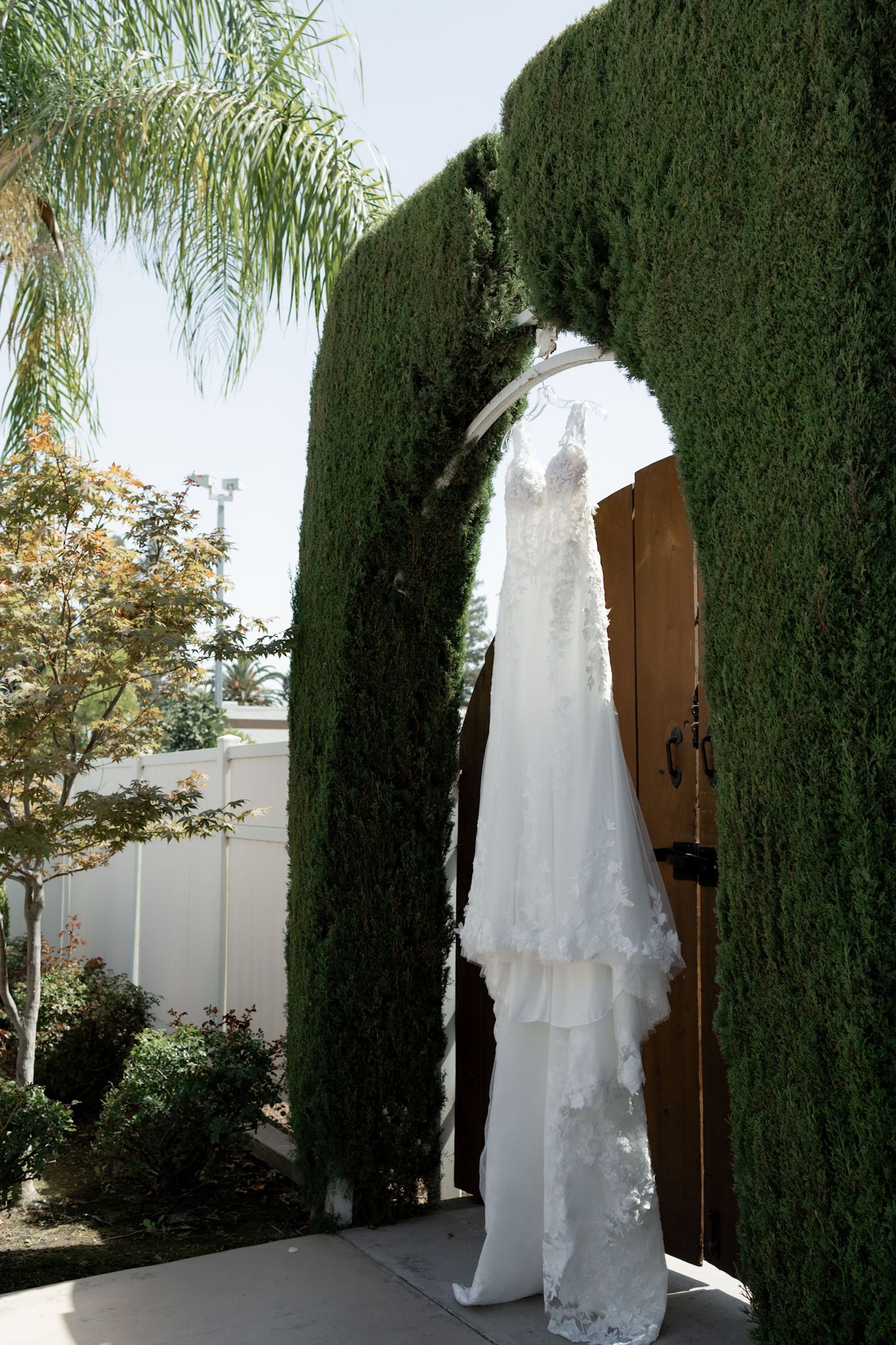 A white lace wedding dress hangs elegantly against a backdrop of tall green cypress trees in an outdoor garden setting.