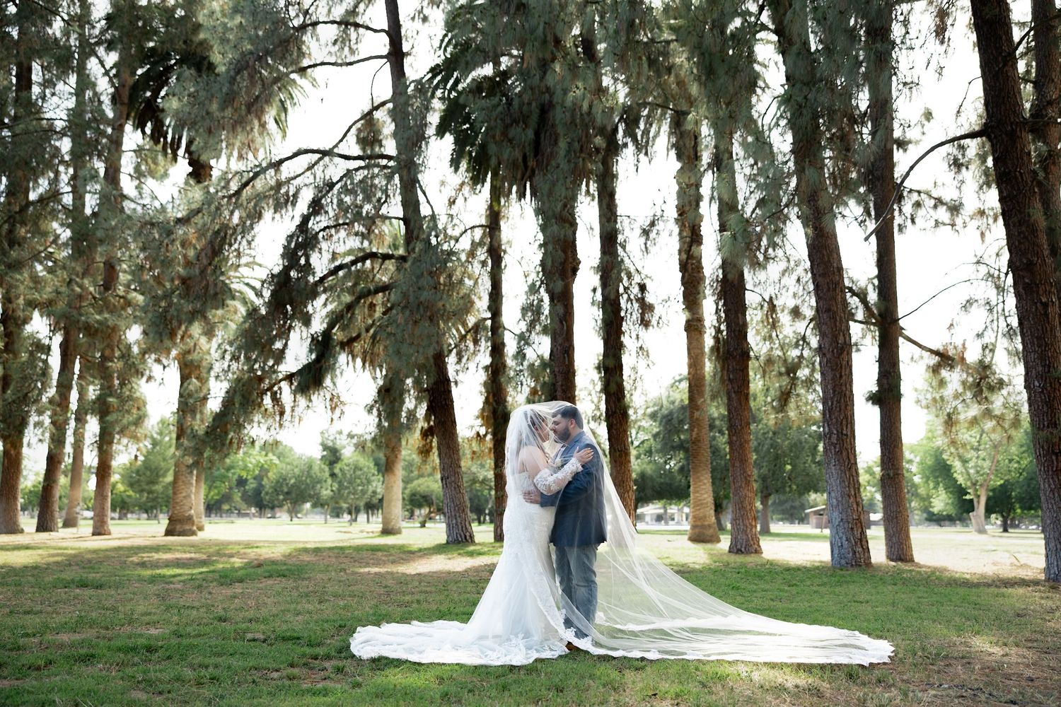 Bride and groom share a romantic kiss under tall pine trees in a lush green park, with a flowing white veil.