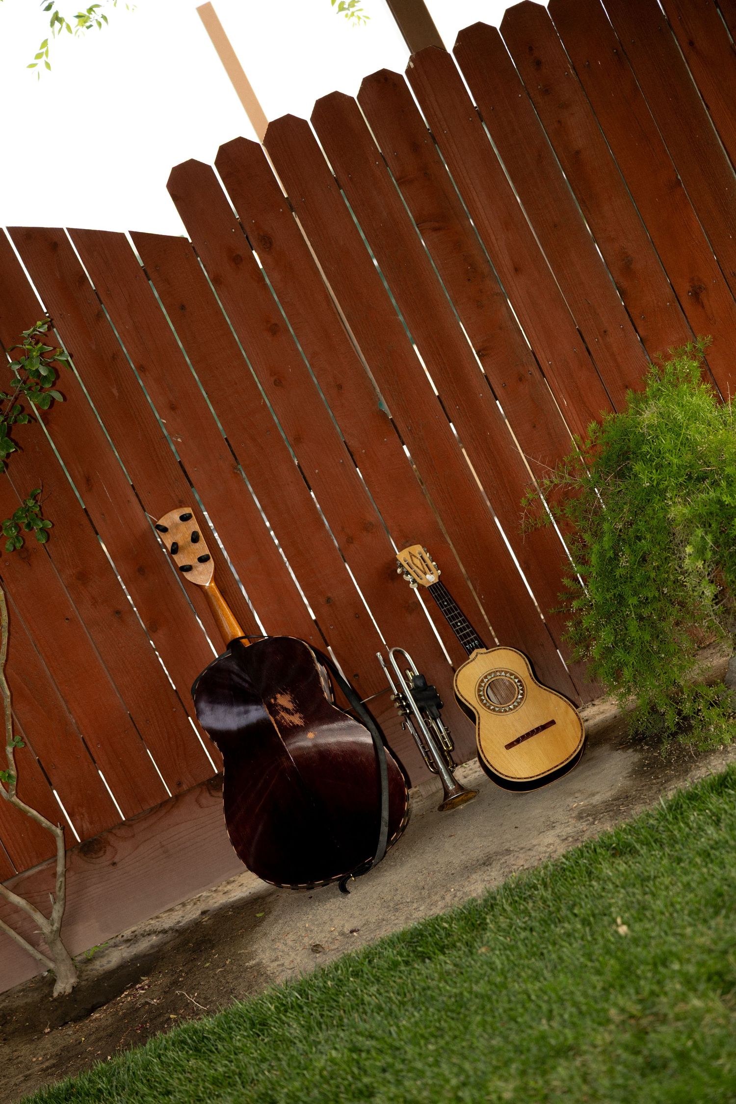 Two acoustic guitars and a bass guitar leaning against a wooden fence in a backyard with green grass.