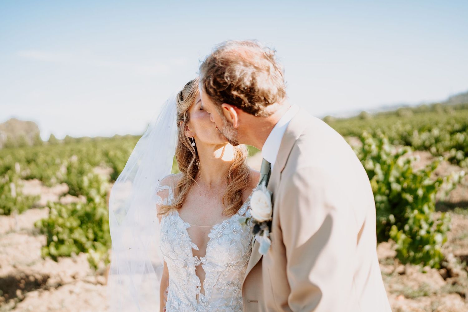 Bride and groom sharing a romantic kiss in a vineyard, bride wearing a lace veil and floral dress on a sunny day.