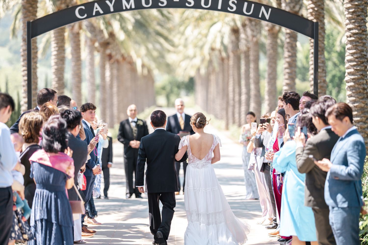 Couple walks down outdoor aisle at Caymus-Suisun winery wedding, surrounded by guests and palm trees.