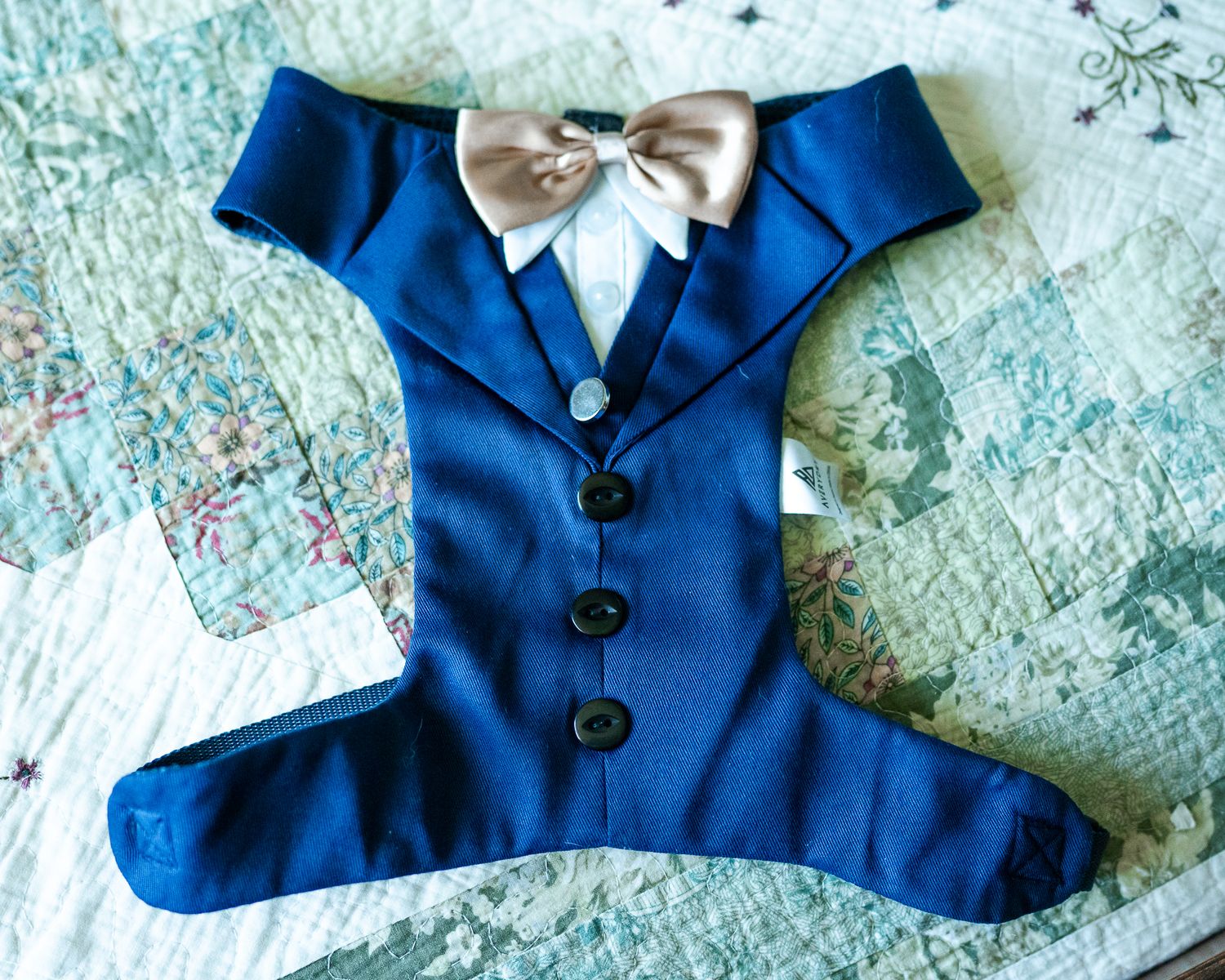 Blue dog tuxedo jacket with gold bow tie and black buttons displayed on quilted background.