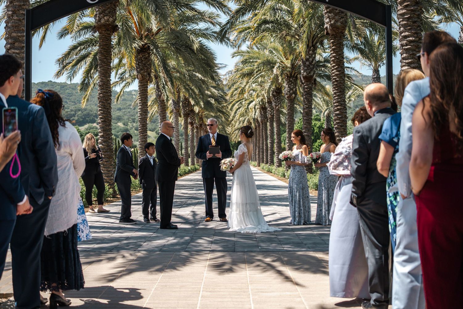 Palm tree lined pathway with dappled sunlight creating shadows on the ground.